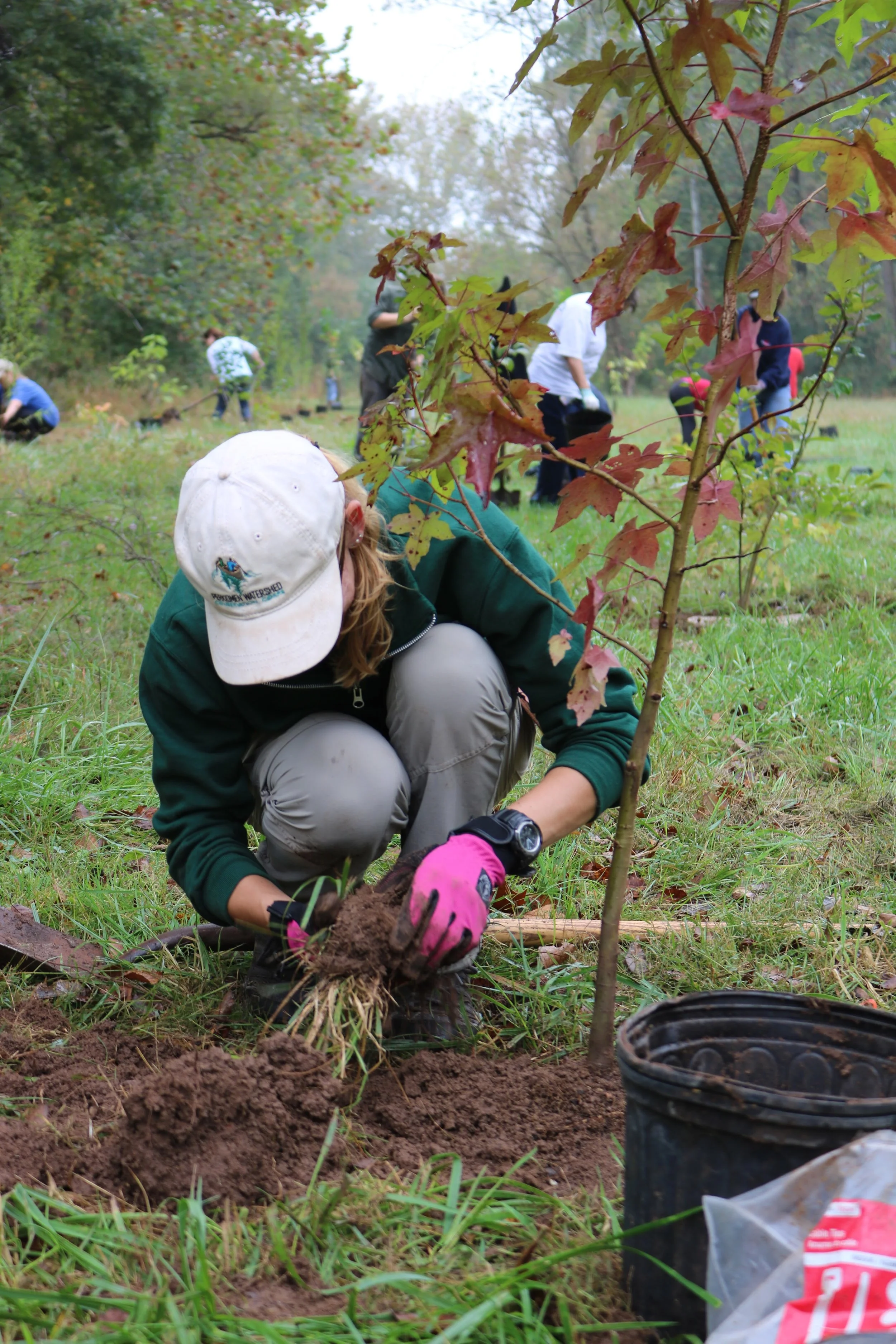 Be sure to use native plants in your riparian buffer! Native plants require less maintenance, absorb more runoff and are more beneficial for wildlife than non-natives.