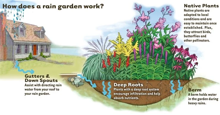 Image Credit: SeeKamp Environmental Consulting Inc.