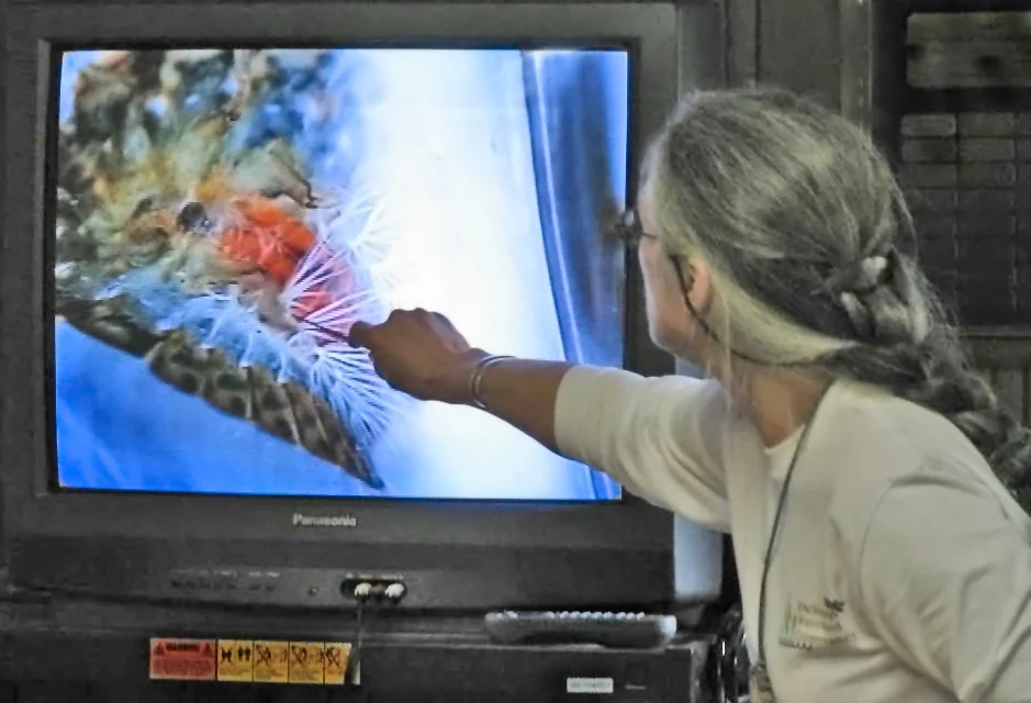 Teachcam1.jpg