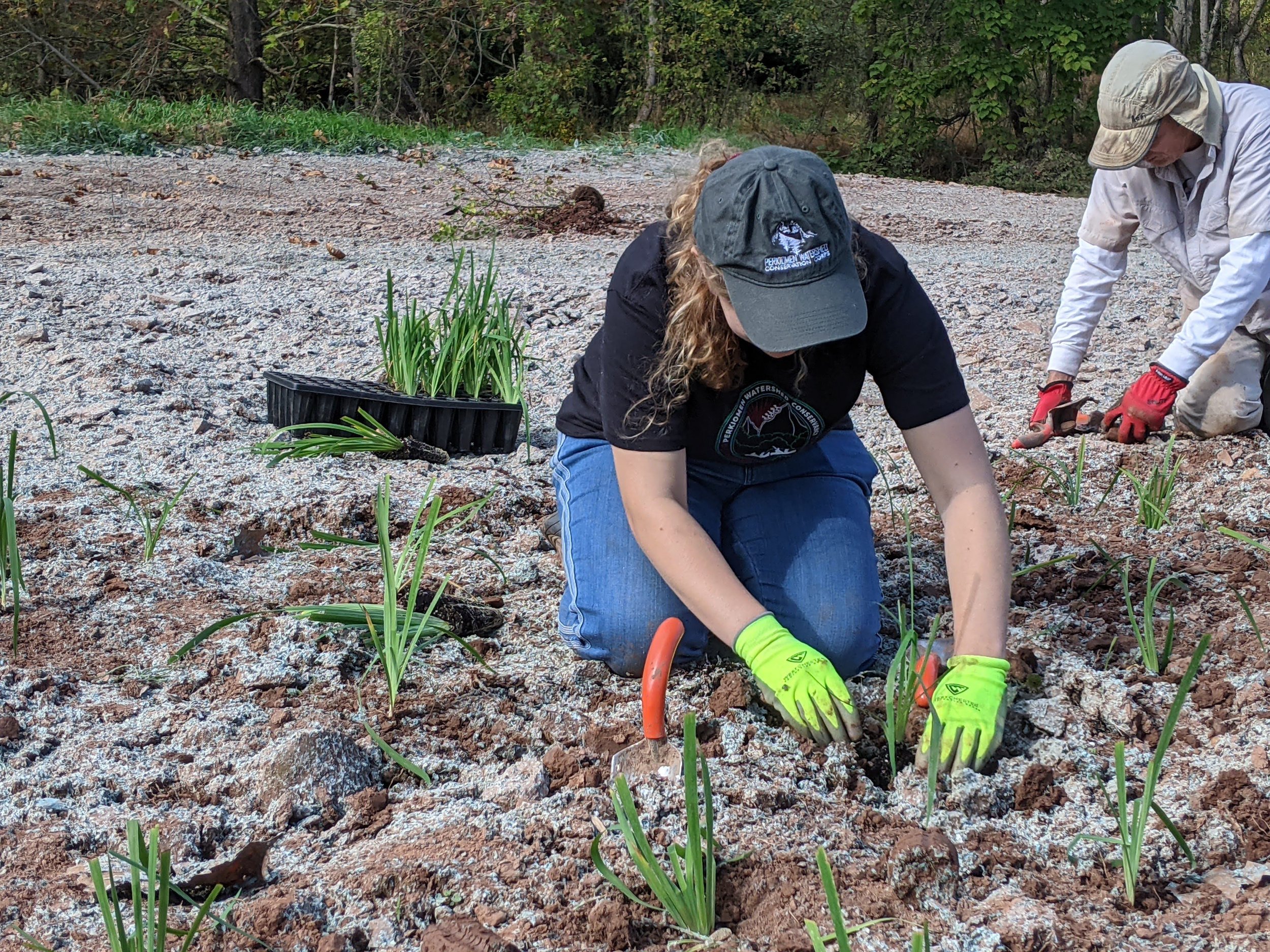 Native Plant Work Days