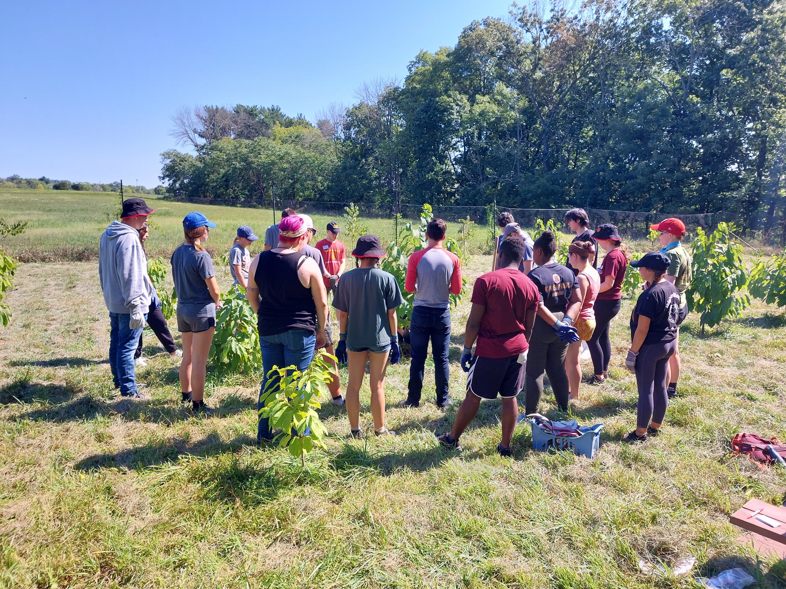 Volunteers Native Plant Project 2022.jpg