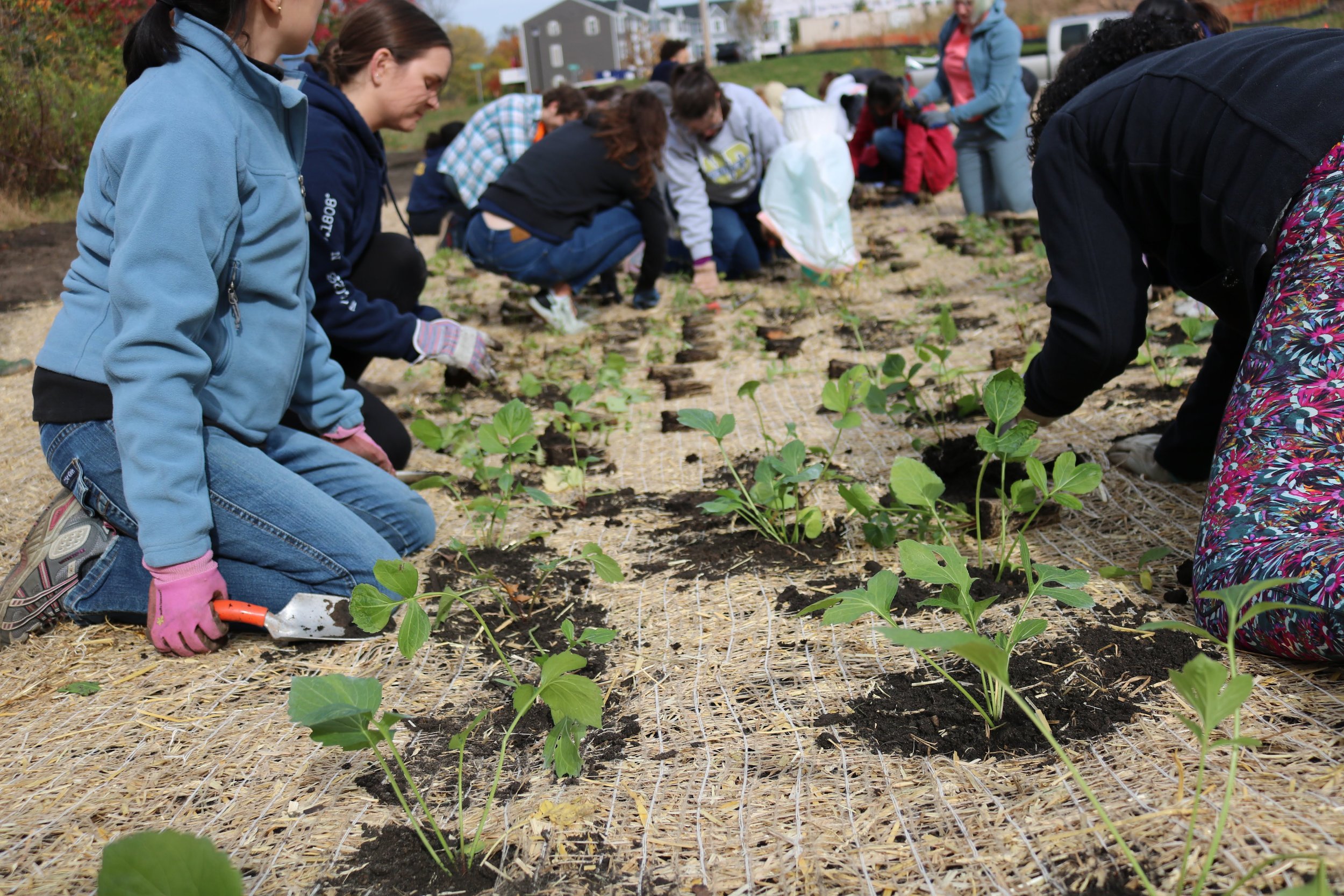 Volunteers Rain Gardens Stony Creek Park 2022 2.JPG