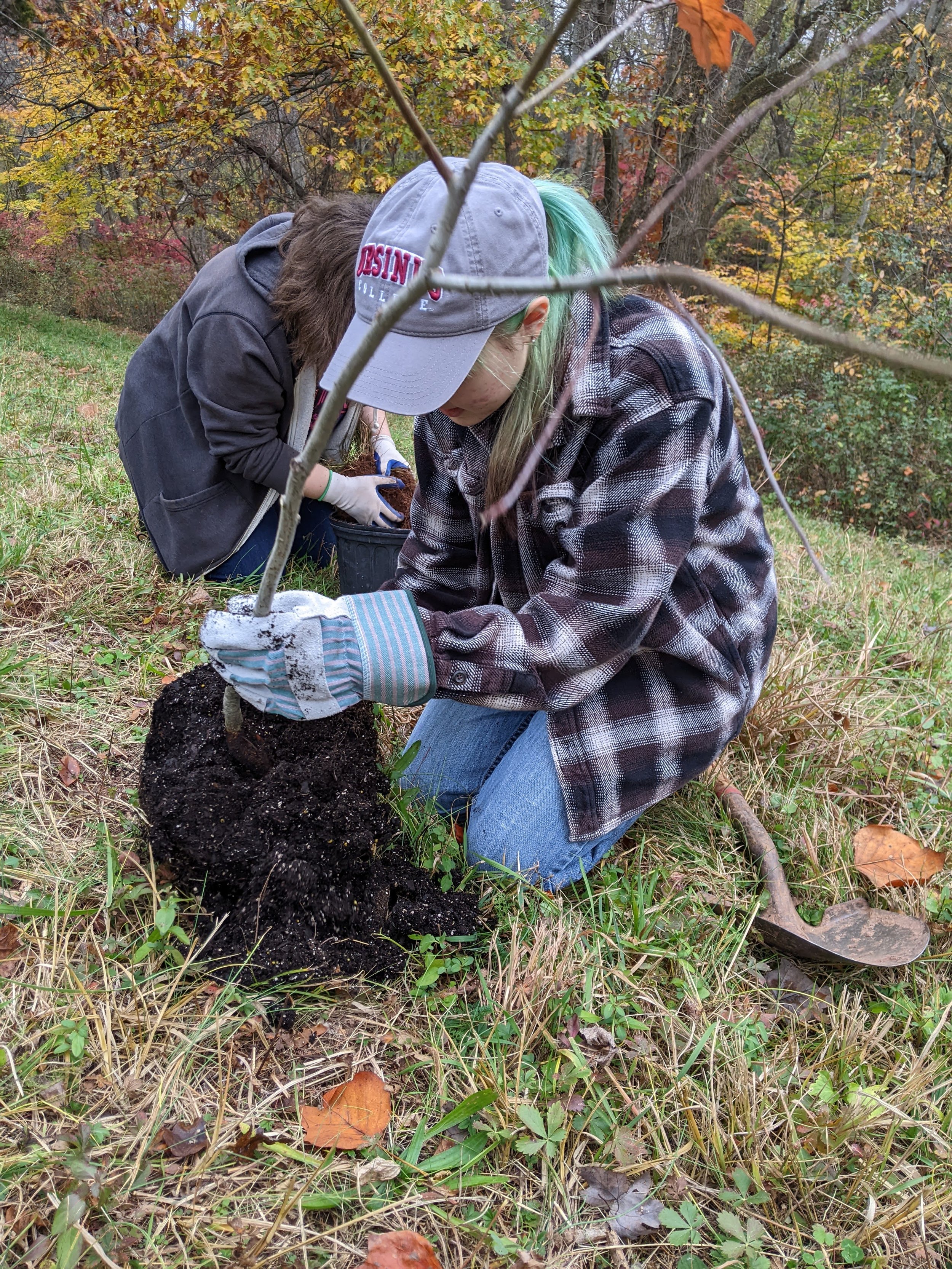 Volunteers Tree Planting Hunsberger Woods 2023.jpg