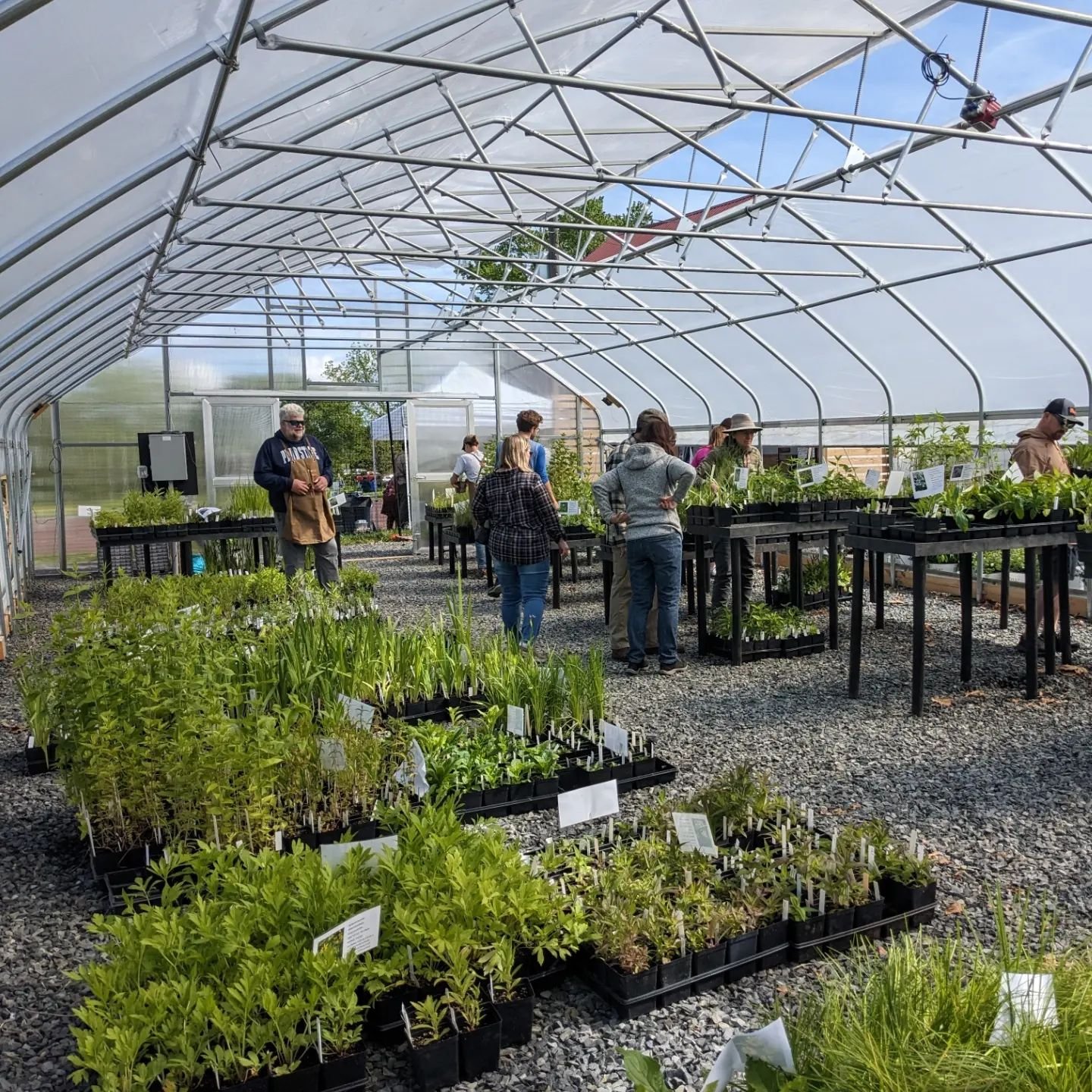 Fantastic day at the Native Plant Sale!! Be sure to join us tomorrow from 9:00 am - 1:00 pm at Dragonfly Farm at Jacob Reiff Park for day two! Come browse over 150 different native plant species including flowering perennials, ferns, vines, grasses a