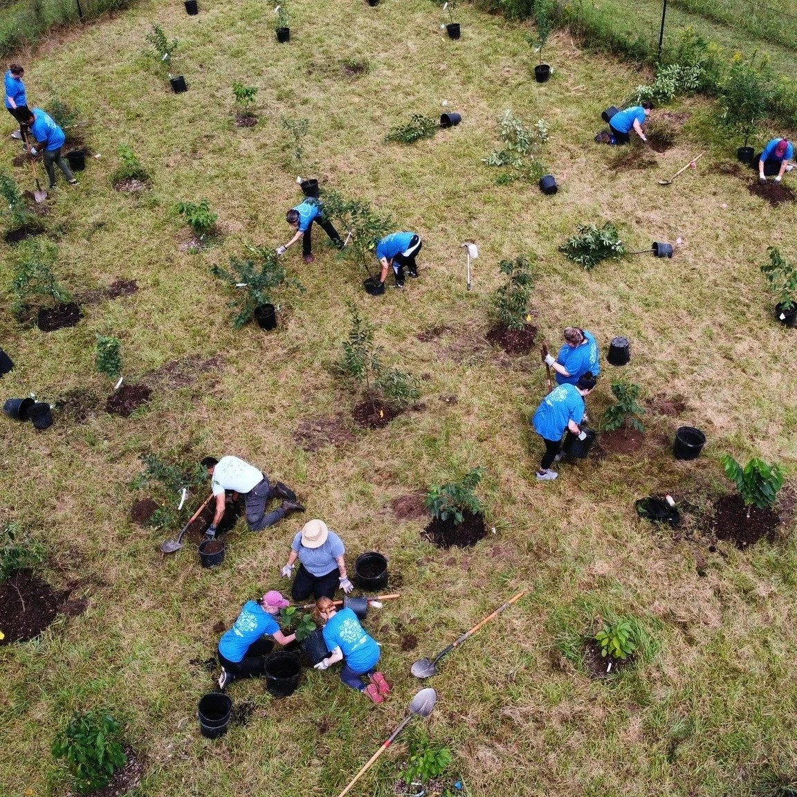 Come plant trees with us!! Over 250 trees and shrubs have already been planted this fall and we need your help to plant hundreds more! Learn more about planting with the Conservancy on our website: www.perkiomenwatershed.org