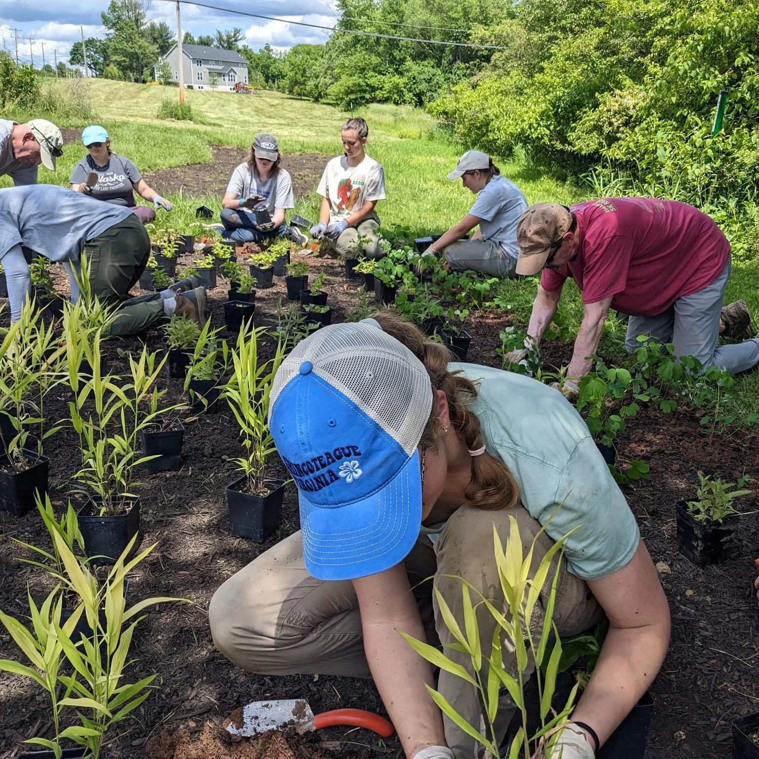 It's another busy planting week for the Conservancy!

We're adding 1,200 native perennials to Douglass Park in Gilbertsville and 75 trees to Lenape Park in Collegeville all to restore local habitat, support pollinators and improve water quality. 

Th