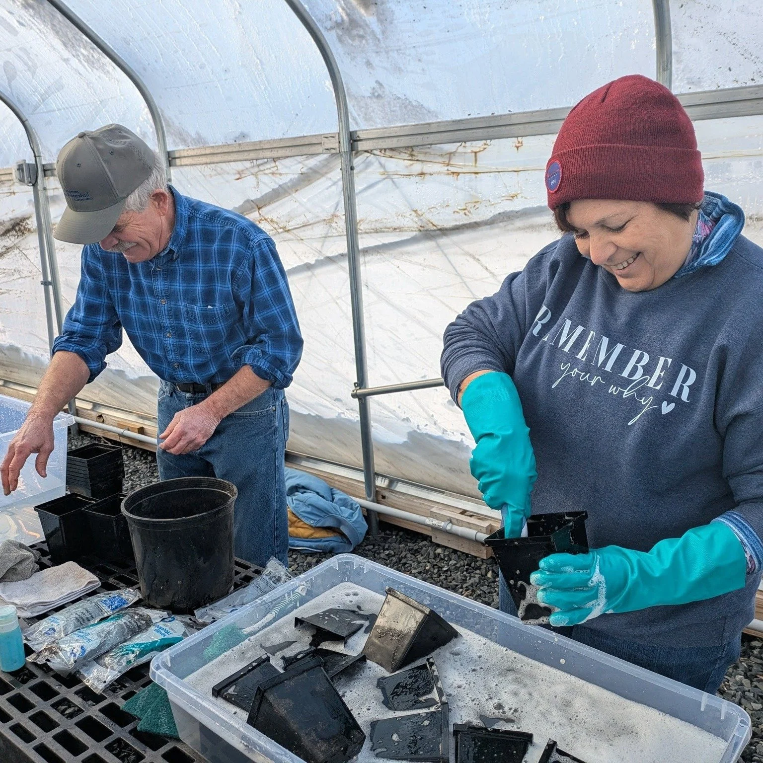 Thank you to all of the wonderful volunteers that helped us in the greenhouses today during Martin Luther King Jr. Day! These volunteers helped us prepare for the 2026 growing season by cleaning native plant containers and trays, cleaning conservatio