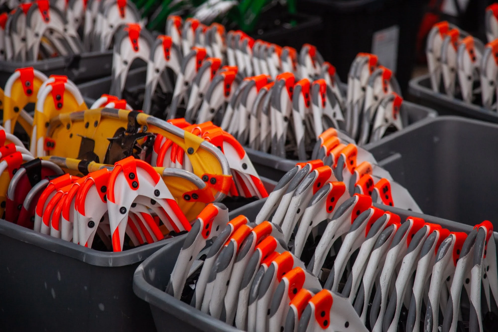 POP-UP Snowshoe Romp - TOMORROW NIGHT!!!

In case you haven&rsquo;t noticed&hellip; it snowed!! 
We might as well take advantage of it! Join us tomorrow night (Wednesday, January 28th) from 6 pm to 7:30 pm at Conservancy headquarters in Schwenksville