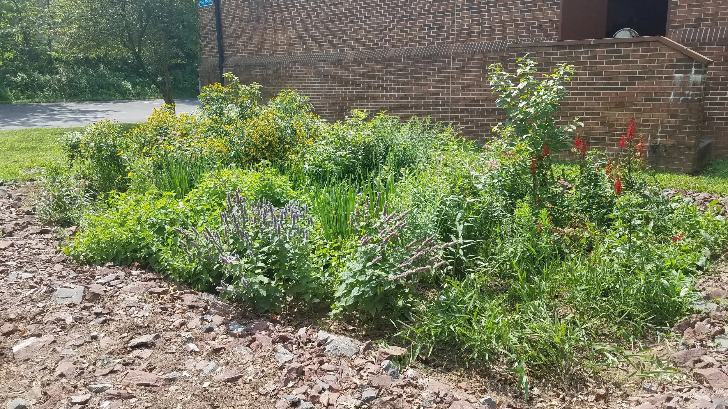Sellersville Borough Rain Garden Workshop