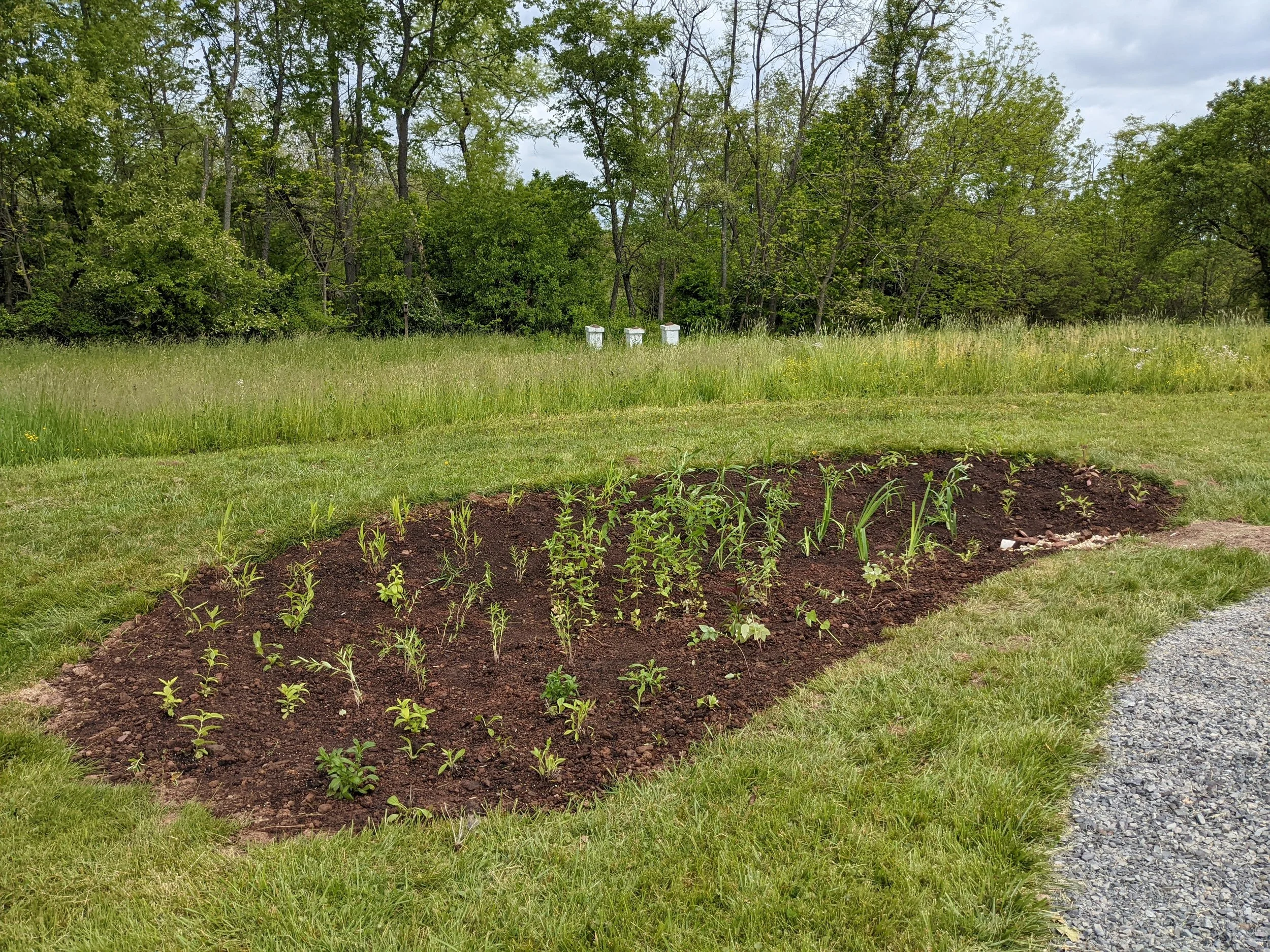 Rain Garden Workshop at Perkiomen Valley Brewery