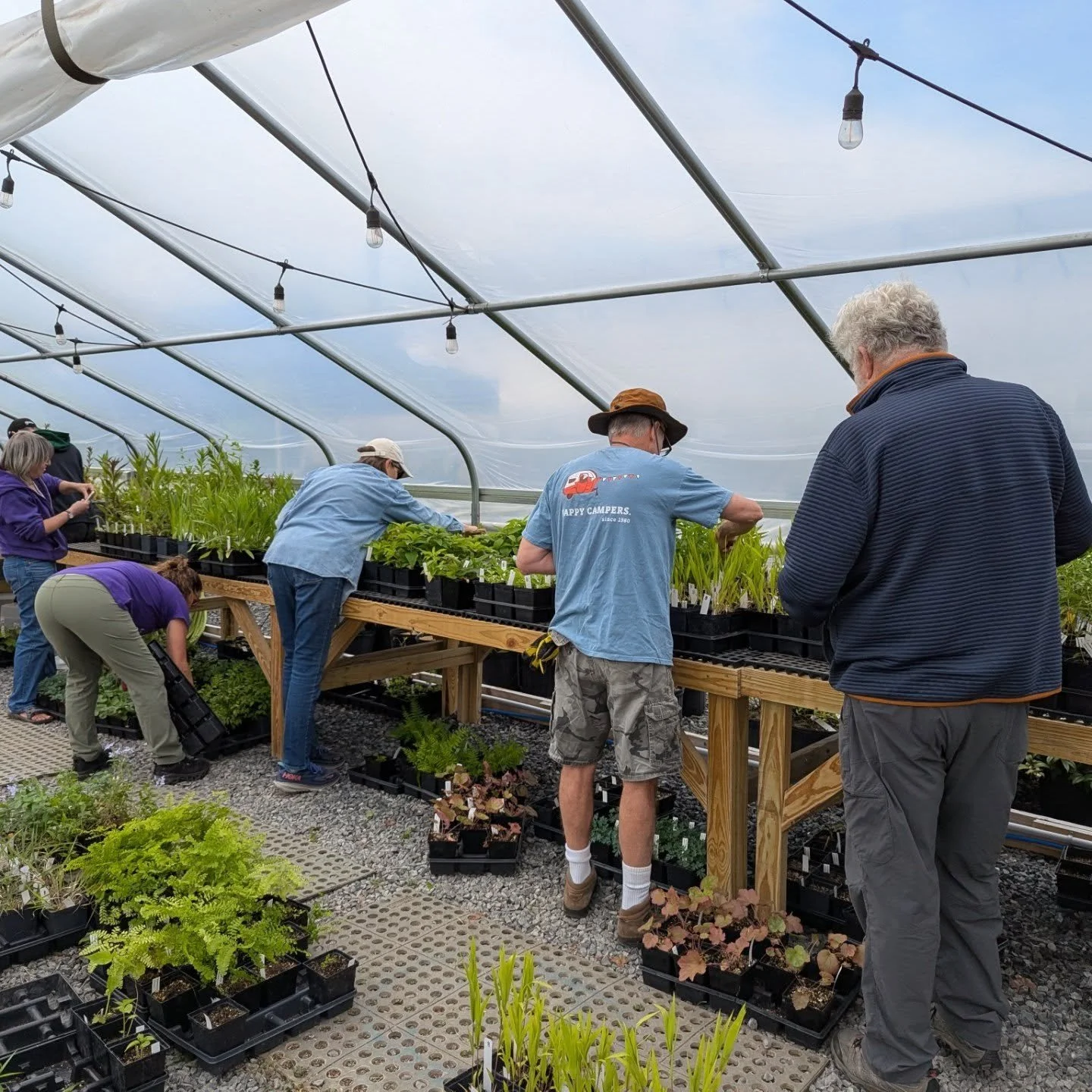 Thanks to our wonderful group of volunteers we are all set up for this weekend's Native Plant Sale!! Join us tomorrow to browse hundreds of PA native plants including trees and shrubs from Behmerwald Nursery! All species listed on our website will be