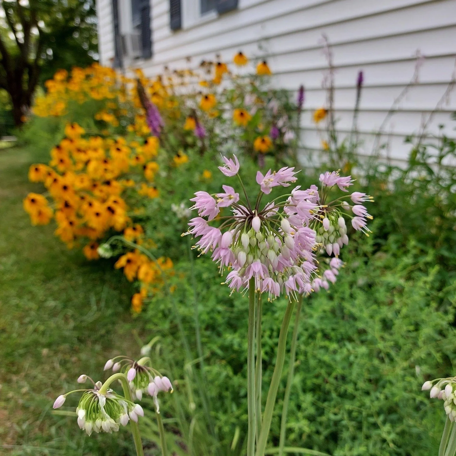 Want to make your yard more environmentally friendly and help protect local waterways? Join the Perkiomen Watershed Conservancy on Tuesday, May 19th at 6:30 pm  at Red Hill Borough Hall for a Stormwater Workshop!

Learn about the impacts of stormwate