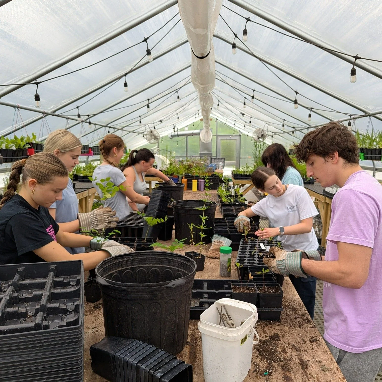 We have had a wonderful time working with local career study students over the past two weeks! These great students have worked on native plant transplanting, seed sowing, butterfly gardens, floating wetland systems, conservation grassland plantings,