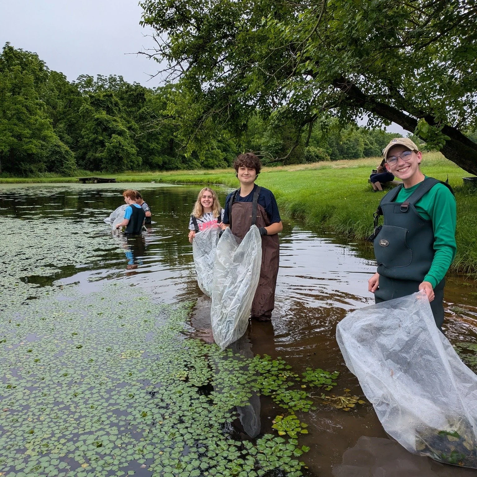 Calling all volunteers! We need your help to remove invasive European water chestnut from a pond in Telford on Friday, June 5th. Spend the day wading or kayaking, pulling invasive plants and helping restore habitat for local wildlife! 

Waders and so