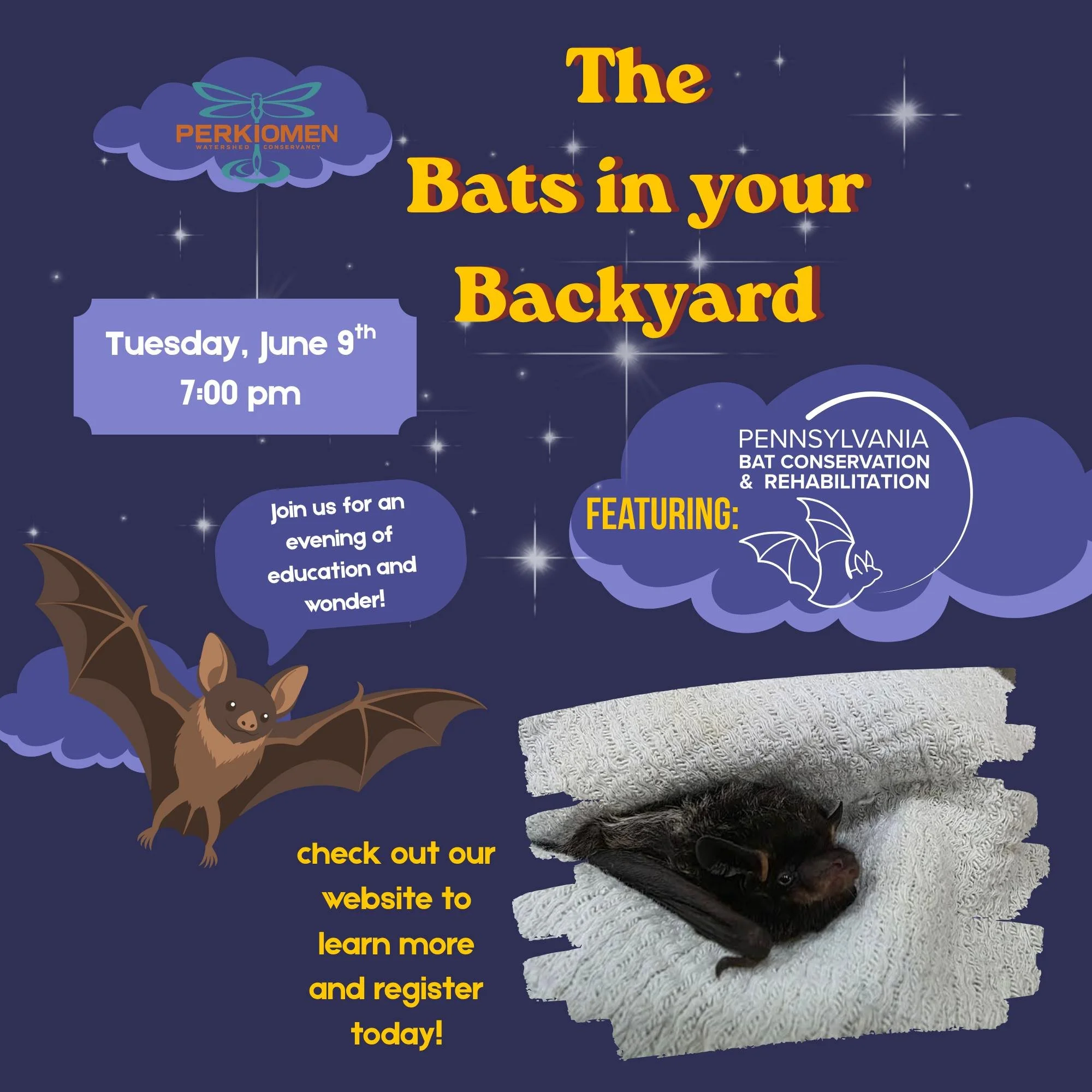Join us Tuesday June 9th to learn about the Bats in your Backyard! Learn about the natural history of bats, some of the conservation challenges they face, and witness the release of real live bats back into the wild! Join us for this first of its kin