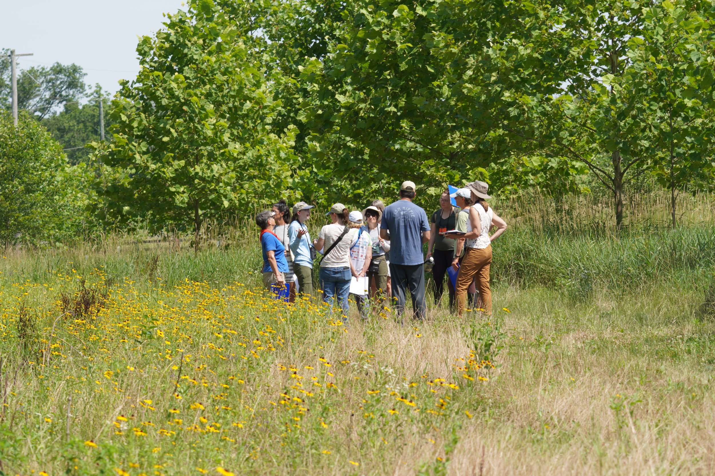 Butterfly Survey Training