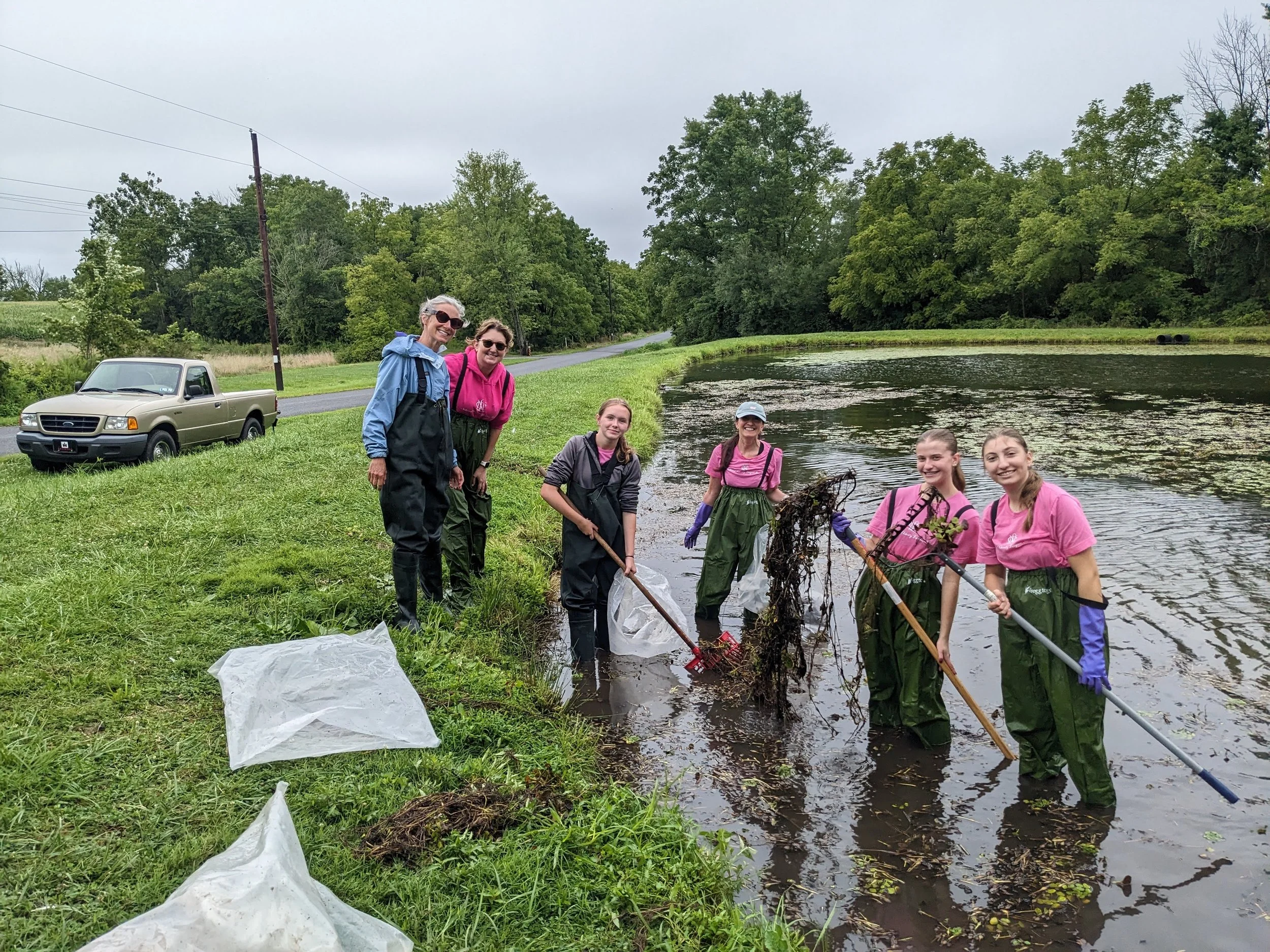 European Water Chestnut Removal Workday