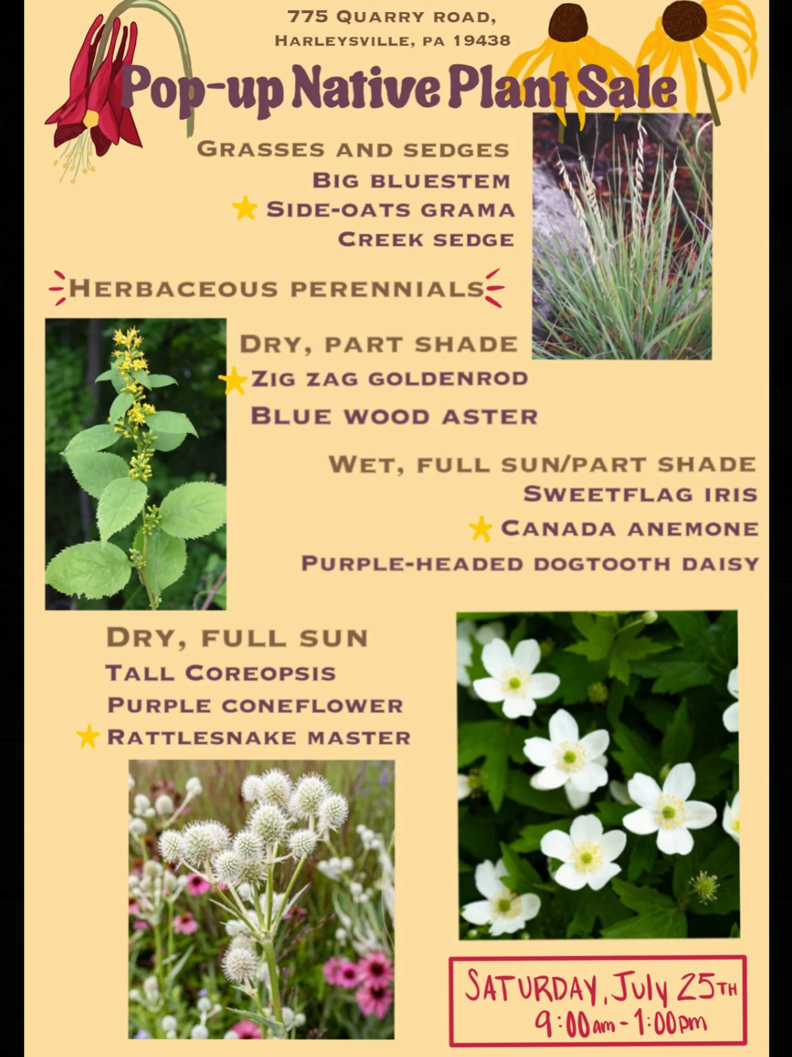 Join us at our Pop-up Native Plant Sale on Saturday, July 25th 9:00am-1:00pm at the Dragonfly Farm in Harleysville! We will have 50+ species of grasses, sedges, herbaceous perennials, and seed grown saplings!
