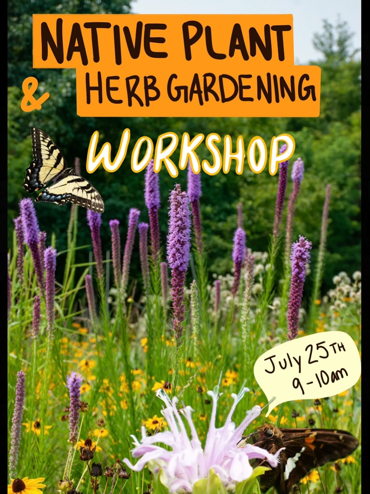 Register for our Native Plant and Herb Gardening for Butterflies Workshop at perkiomenwatershed.org! Learn about native plant and herb species that support local butterflies! Sow seeds and take them home to start your garden! Taking place at 775 Quar