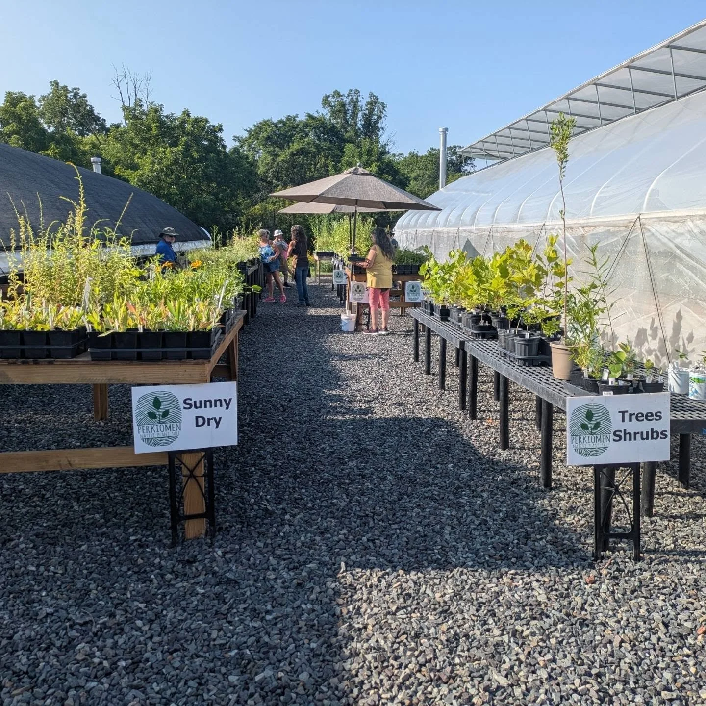 Our pop-up plant sale is open today from 9 am - 1 pm! We've got lots of native perennials looking for a good home. Stop by Dragonfly Farm at Jacob Reiff Park in Harleysville and pick up some beauties for your yard!