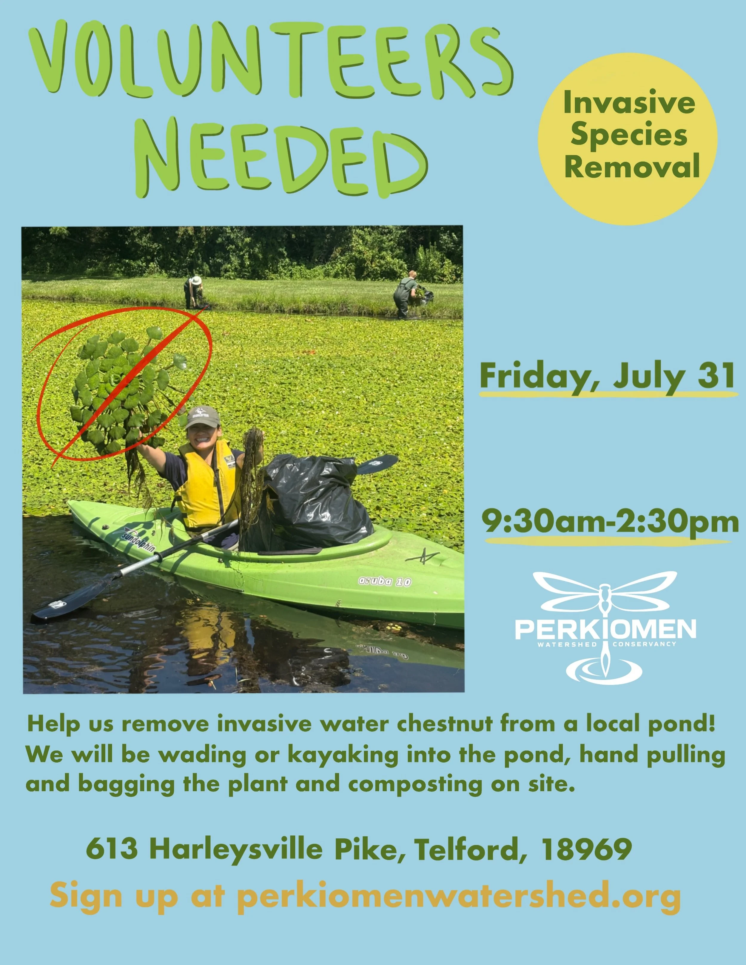 European Water Chestnut wanted dead or alive for threatening the health of our watershed! Help us remove this invasive species on Friday, July 31st! Sign up and find more information at perkiomenwatershed.org #invasiveremoval #volunteerevent #volunte