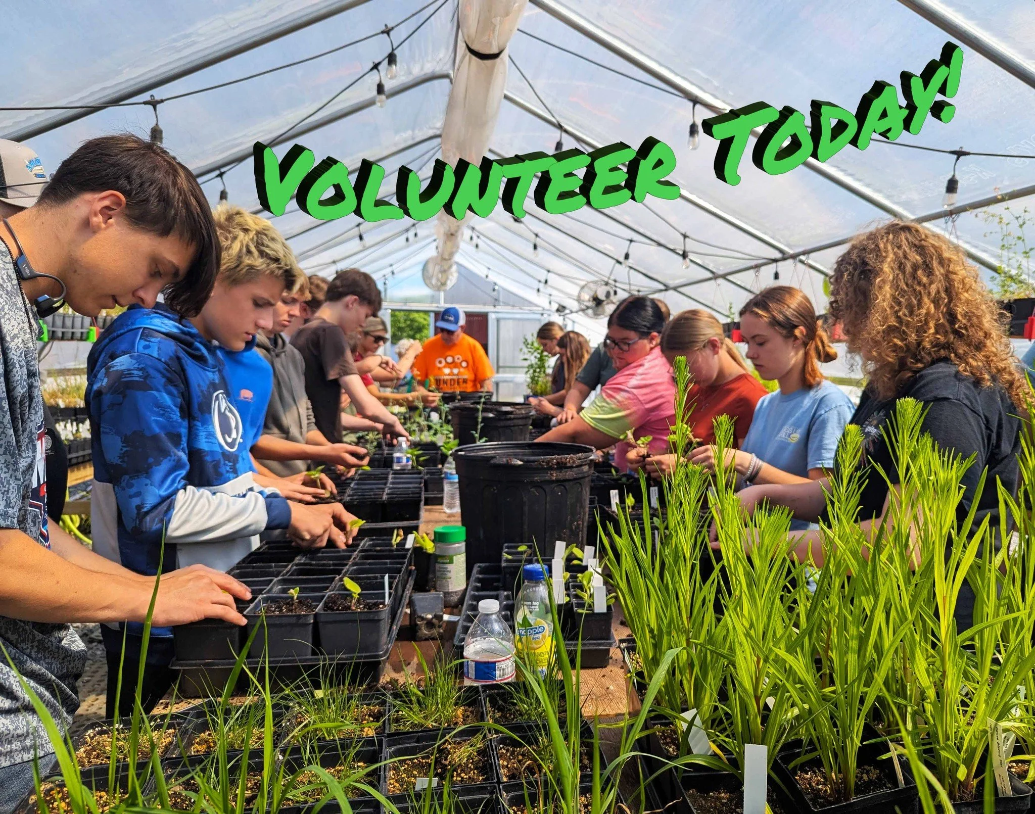 WE NEED YOU!! Our greenhouses are exploding, and we desperately need some help potting up our natives! Come on out Monday, Tuesday or Wednesday (August 3-5 | 9 am to 12 pm) to lend a hand! 

Sign Up to Volunteer HERE >> https://signup.com/go/Gz