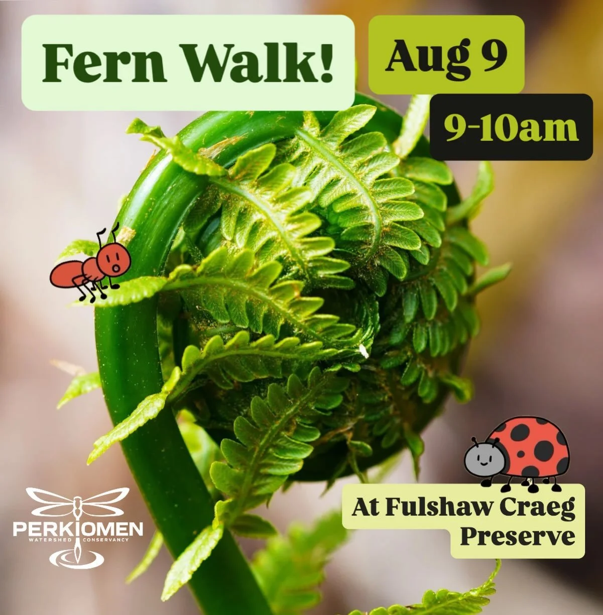 Join us on an understory adventure to find some beautiful ferns! Sunday, August 9th from 9-10am at the Fulshaw Craeg Preserve! Sign up at perkiomenwatershed.org!