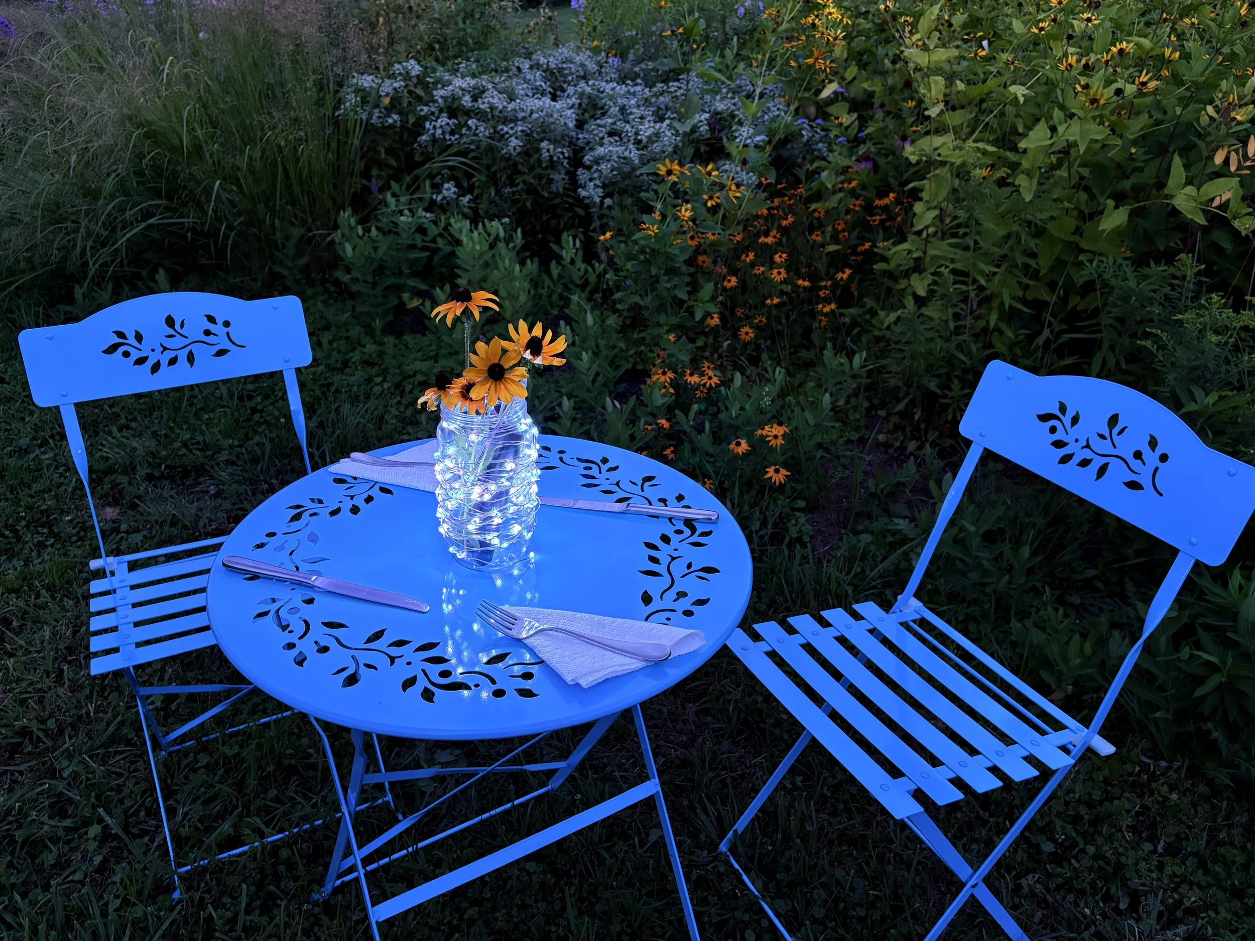 Picnic in the Park