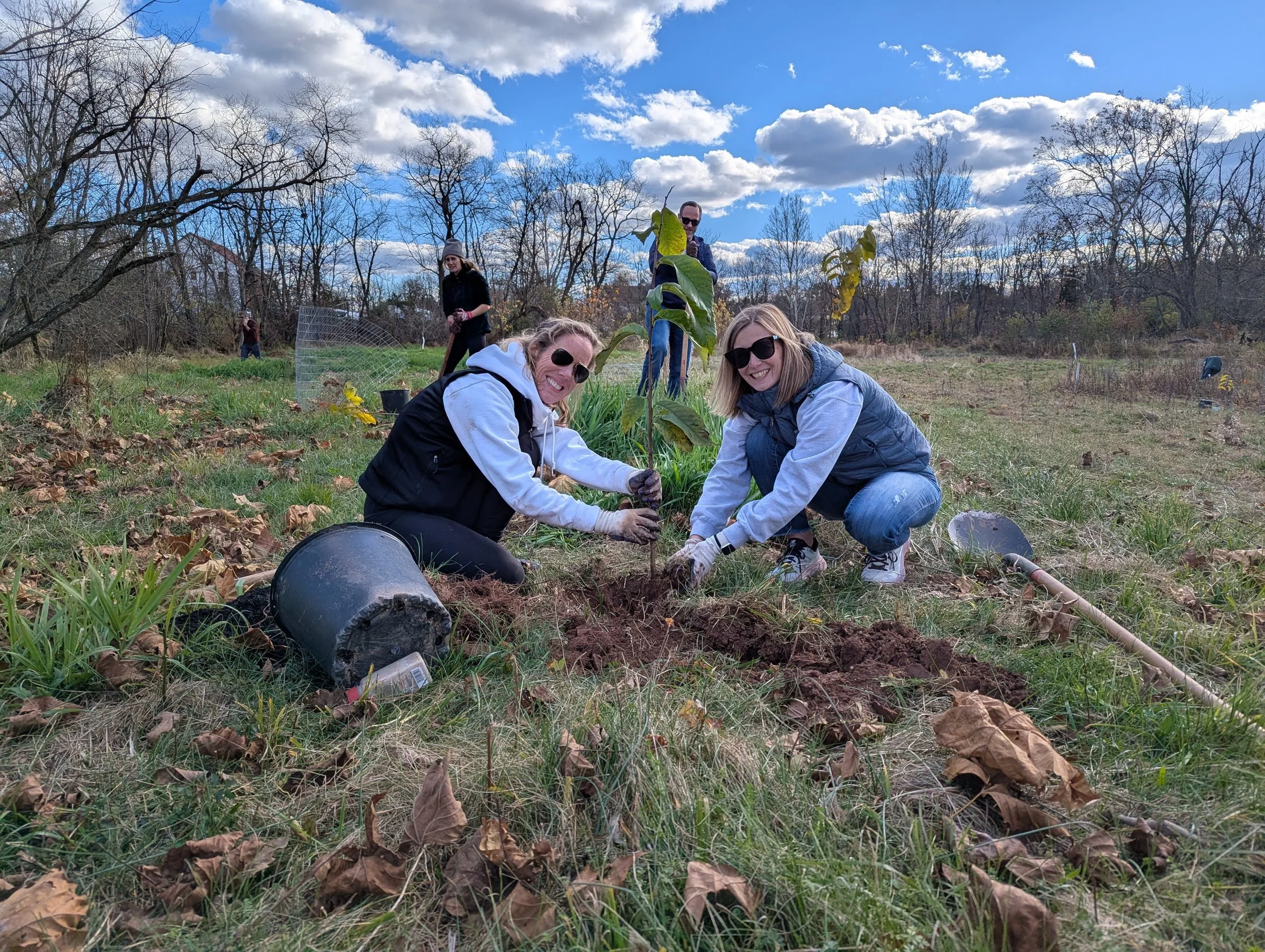 Palm Hill Rd Tree Planting