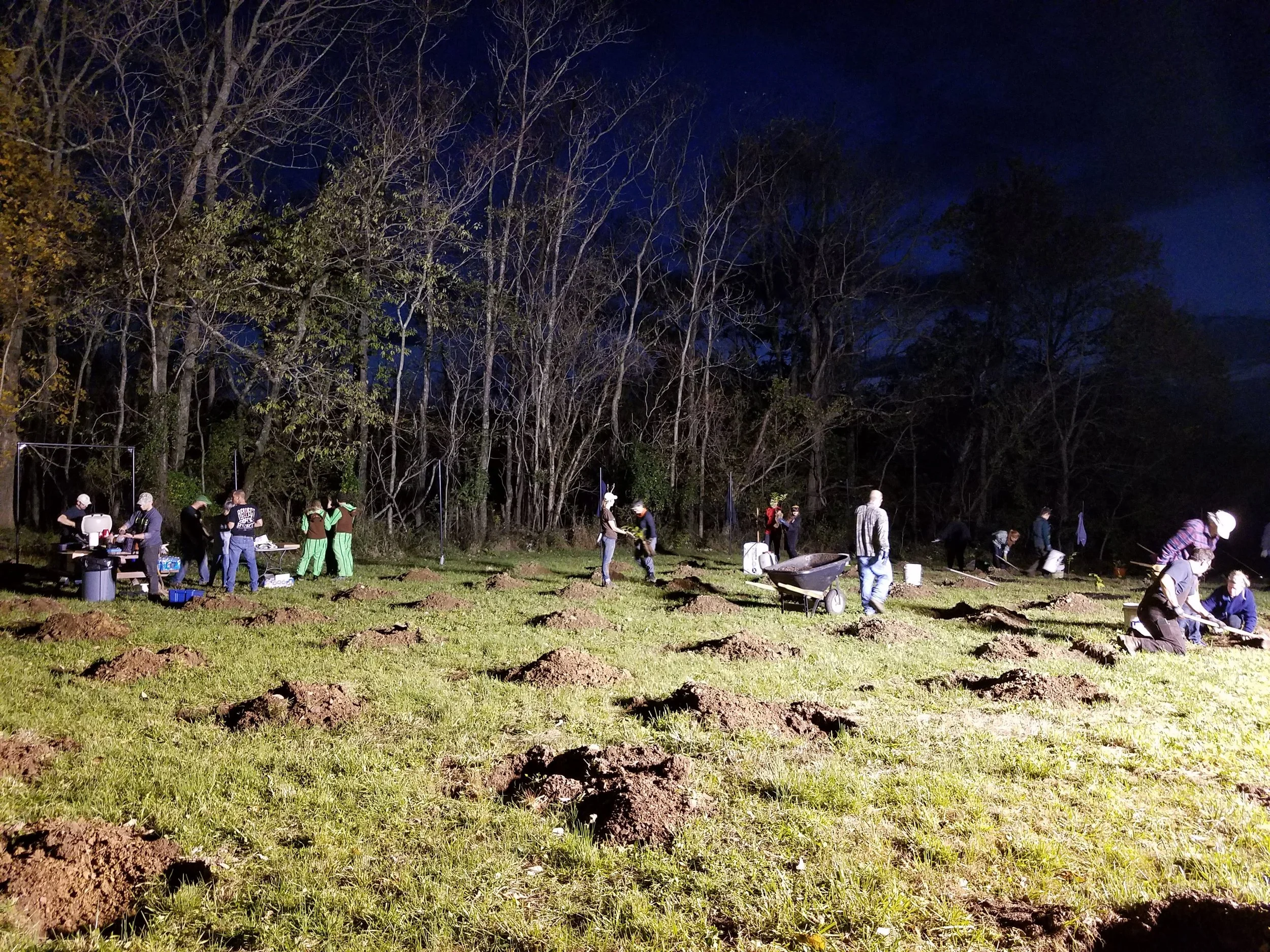 Reiff Park Halloween Planting