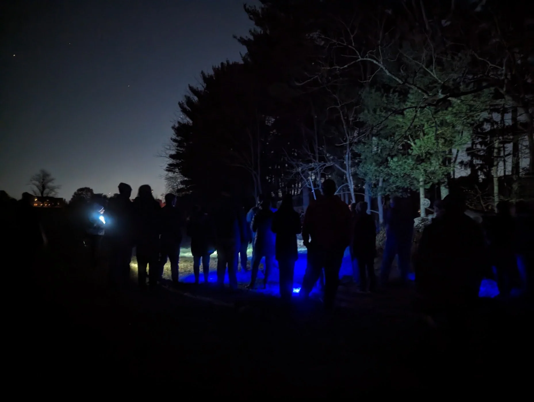 Sensory Night Hike