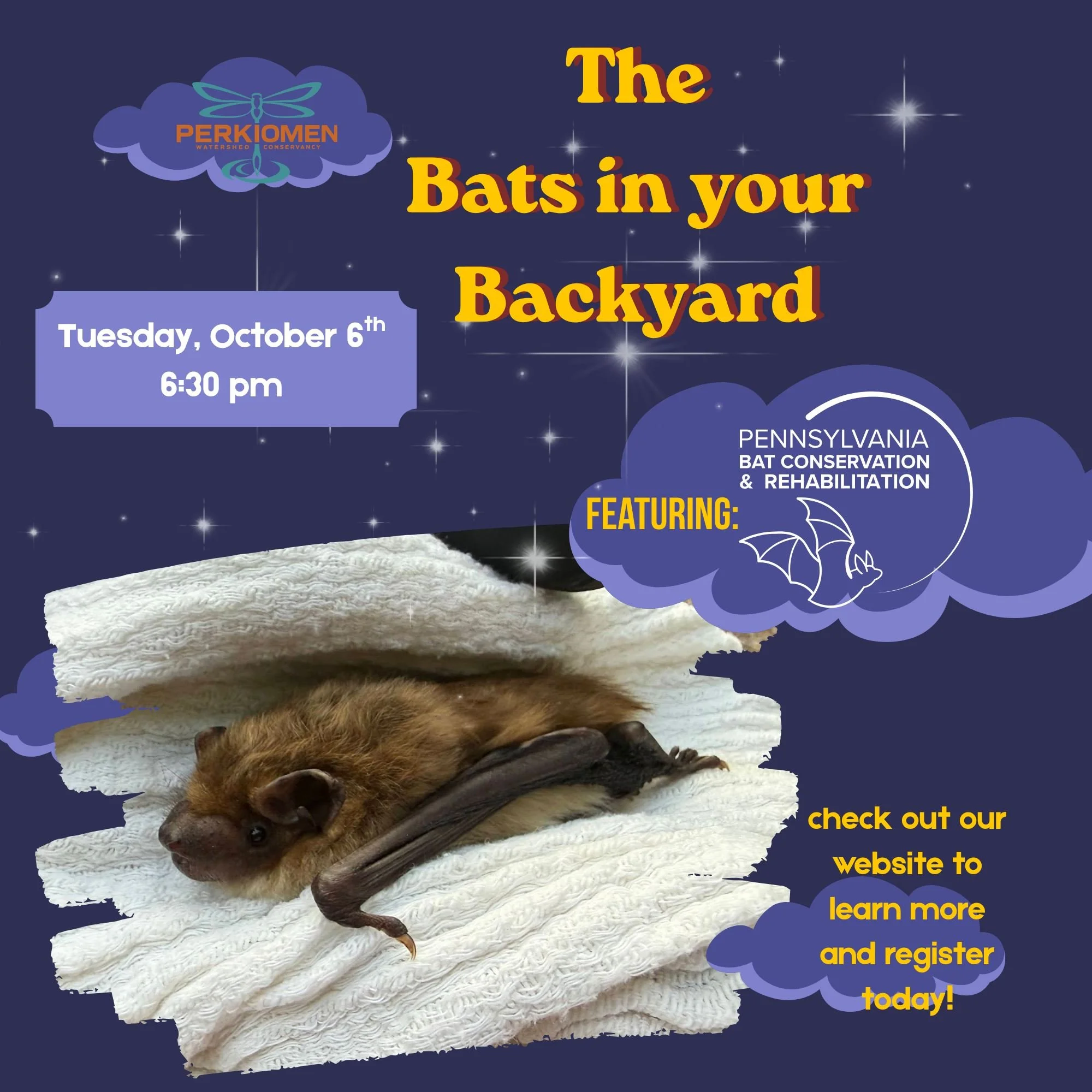 Want to learn more about bats? Join us for an evening of wonder as we learn about these incredible creatures of the night! We're excited to once again partner with @pa_bat_rehab for the Bats in your Backyard, an evening education program.

To learn m