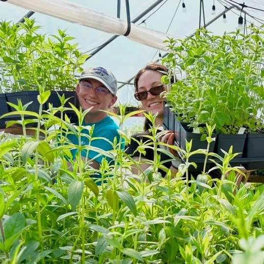 Fall in love with native plants during the Fall Native Plant Sale!!! This is your chance to grab some locally grown native plant species that support pollinators, create wildlife habitat, and beautify your outdoor spaces! The Sale will be held at Dra