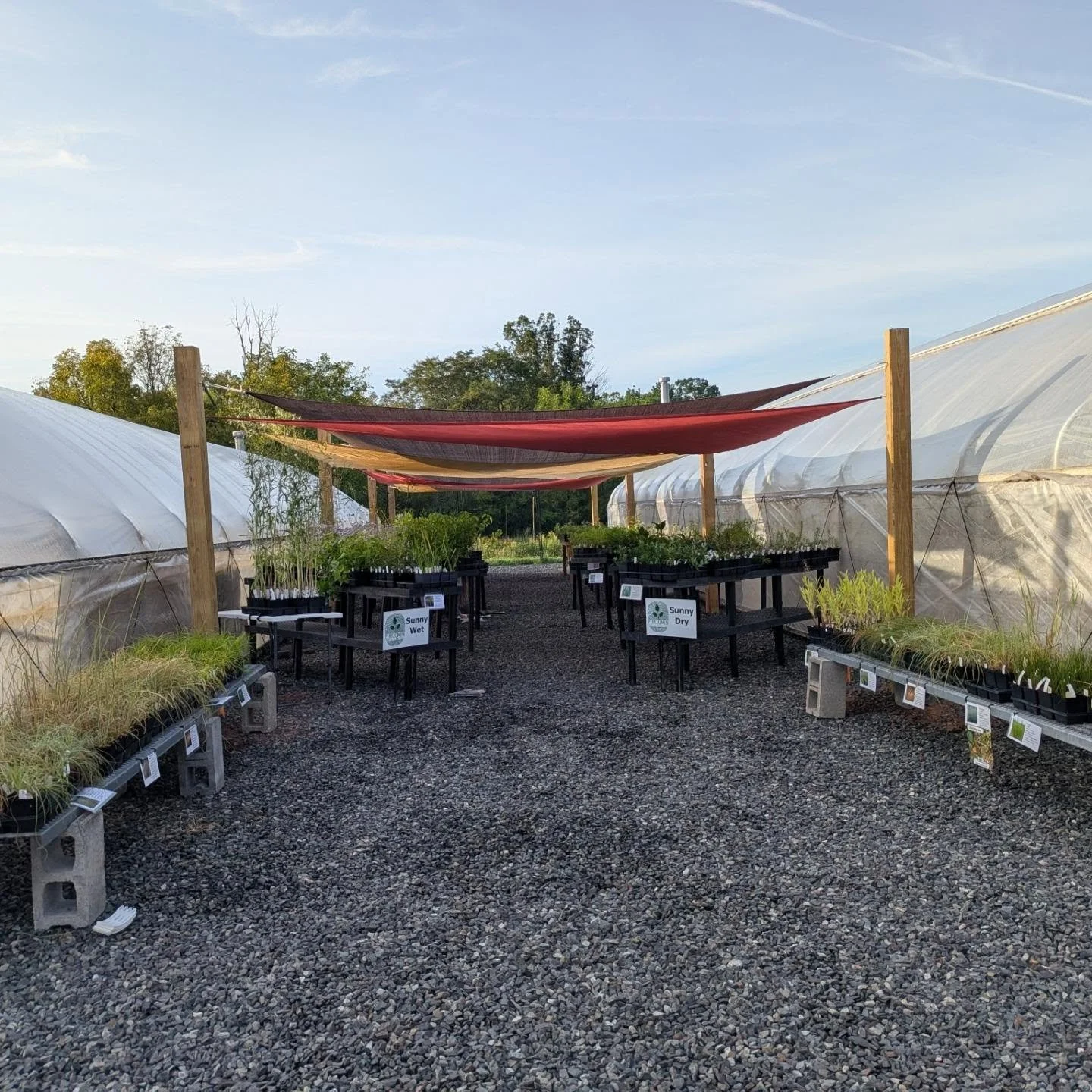 Our Fall Native Plant Sale opens in one hour!! Visit us at Dragonfly Farm at Reiff Park in Harleysville from 9:00 am - 3:00 pm. Fall is the perfect time to plant and to add some great native species to your yard!!