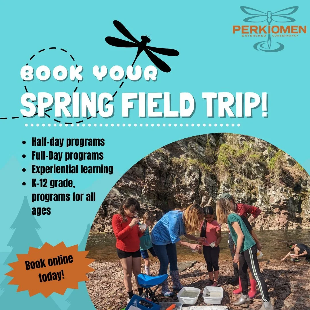 With the school year in full swing and Fall right around the corner, what better time to start thinking about the Spring? Book your spring field trip today! To view our full catalogue of programs and book your spot today, follow the link below!
. 
.
