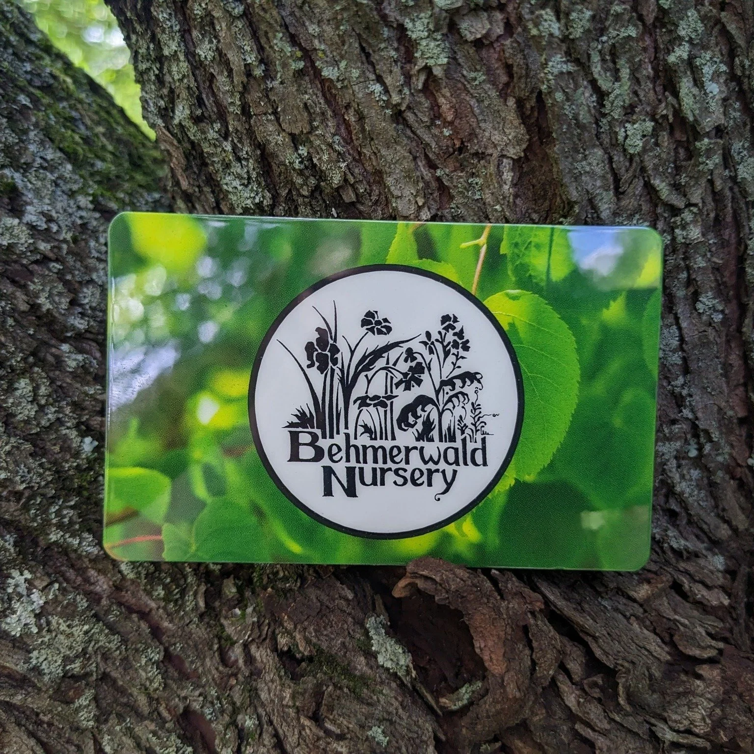 Silent Auction bidding is OPEN!! Don't miss your chance to bid on local items and experiences all while supporting the Conservancy! Visit our website to start bidding now! www.perkiomenwatershed.org
