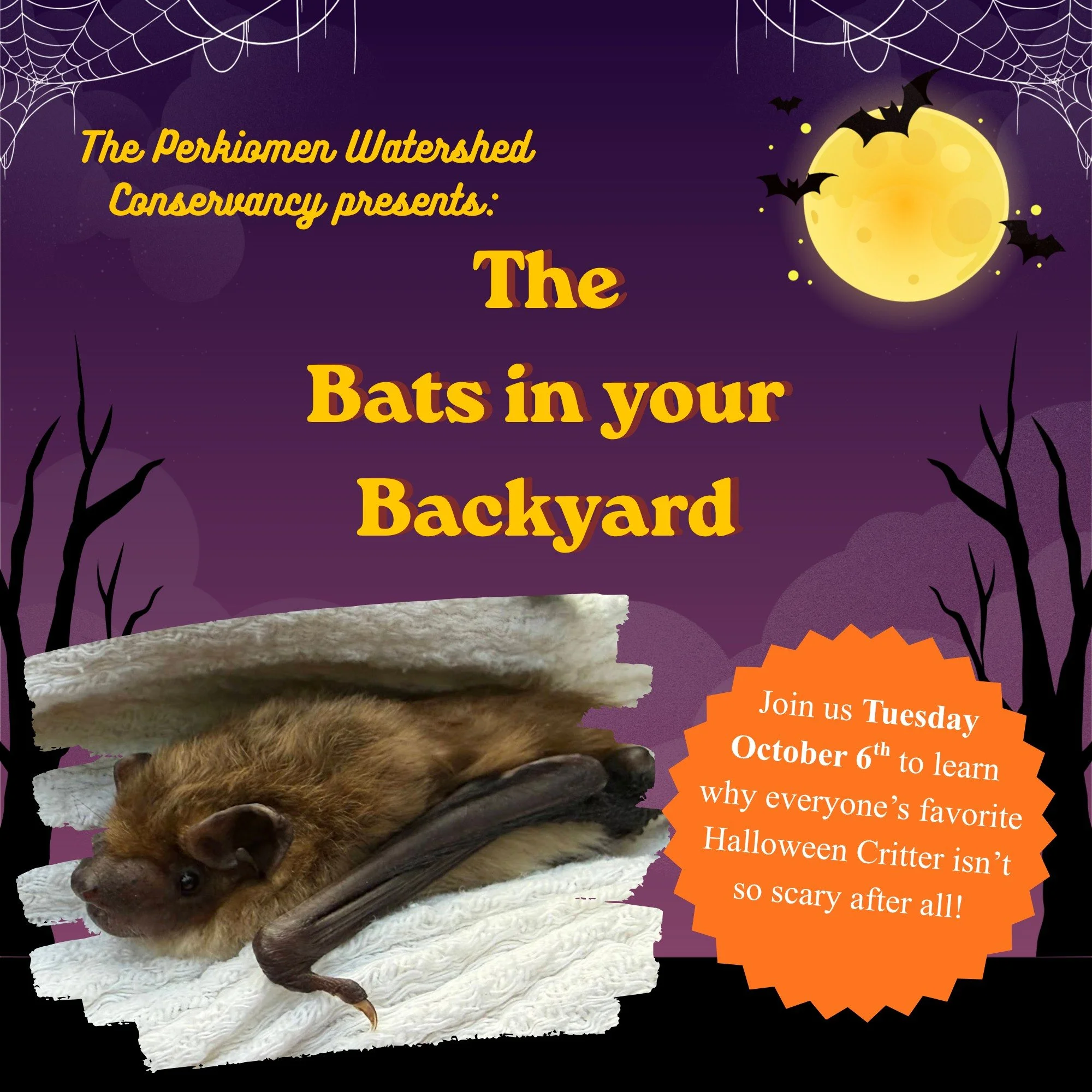 Looking for the perfect program just in time for Spooky Season? Join us the evening of Tuesday, October 6th as we partner with @pa_bat_rehab for another presentation of "The Bats in your Backyard".

Learn why everyone's favorite Halloween c