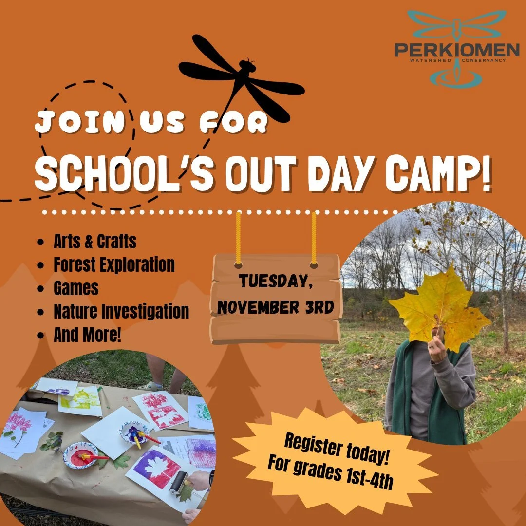 Join us for our first session of School's Out Day Camp! Held here at the Conservancy, it'll be a fun day full nature exploration, art &amp; crafts, field games, and more! If your little explorer likes our summer camps, they are going to love this!

 