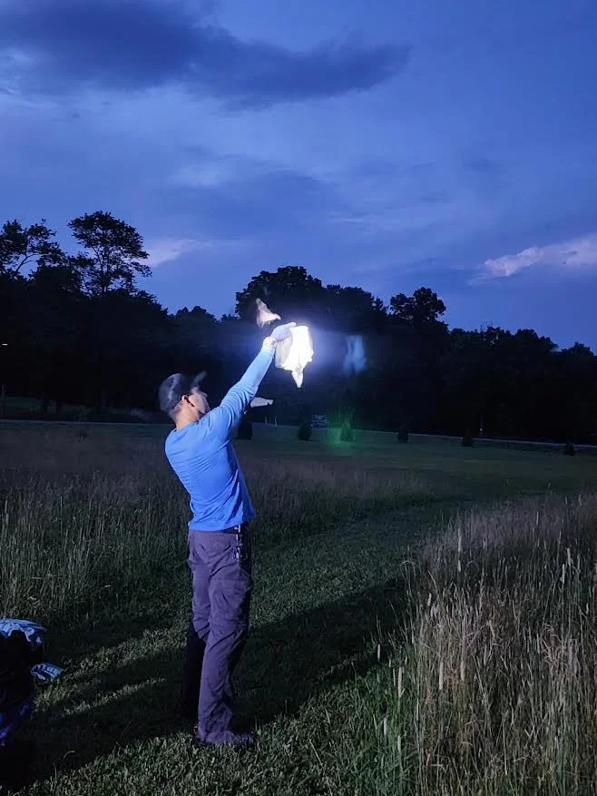 The Bats in your Backyard