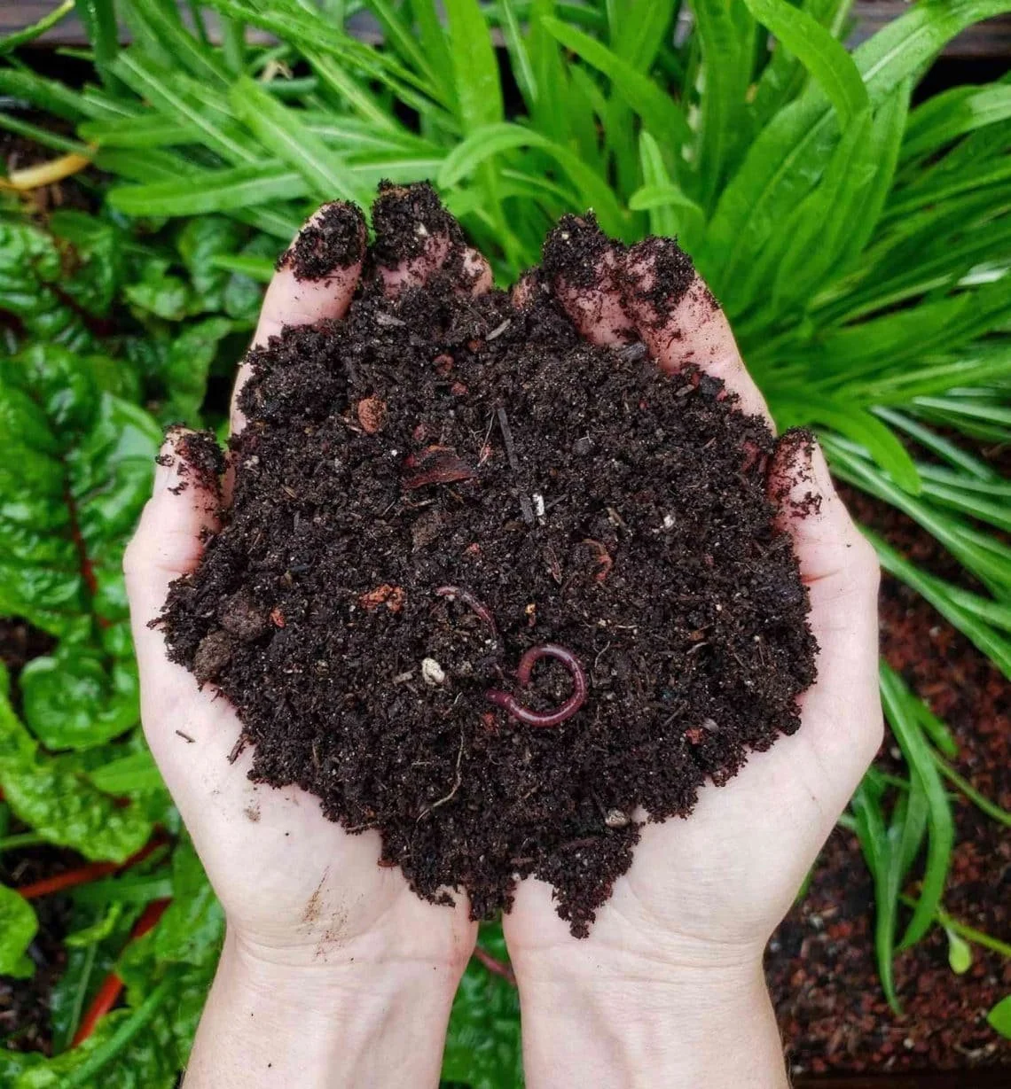 Trash Bags-Compost Garden Leaves Collection-Go-Compost