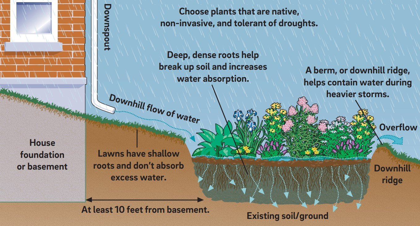 Benefits of a Rain Garden