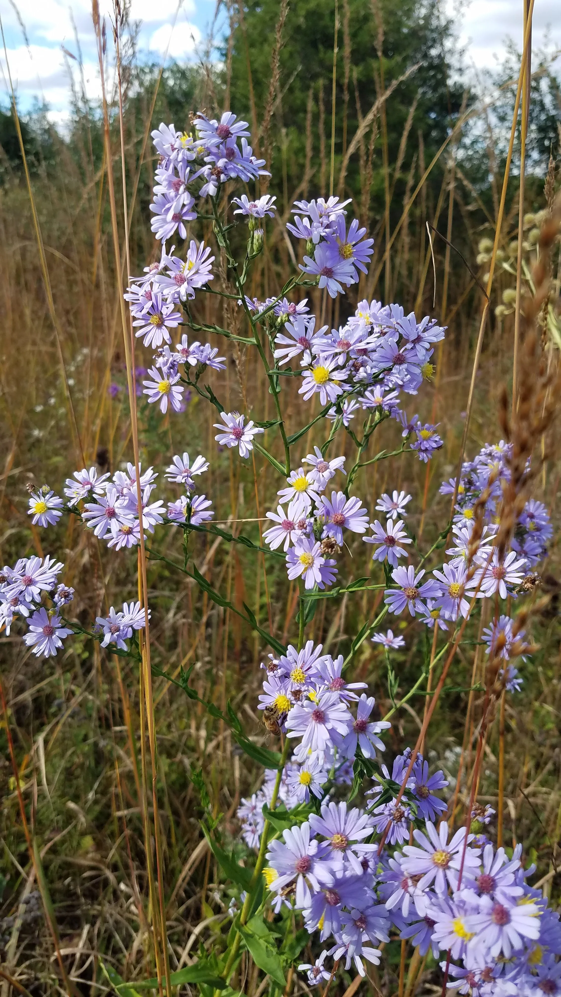 20210929_142503 (1).jpg