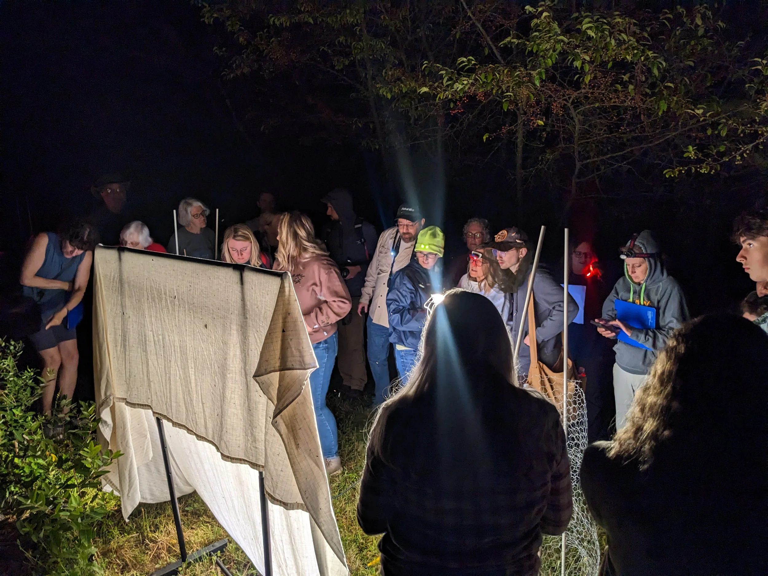 Night Hike & Moth Survey