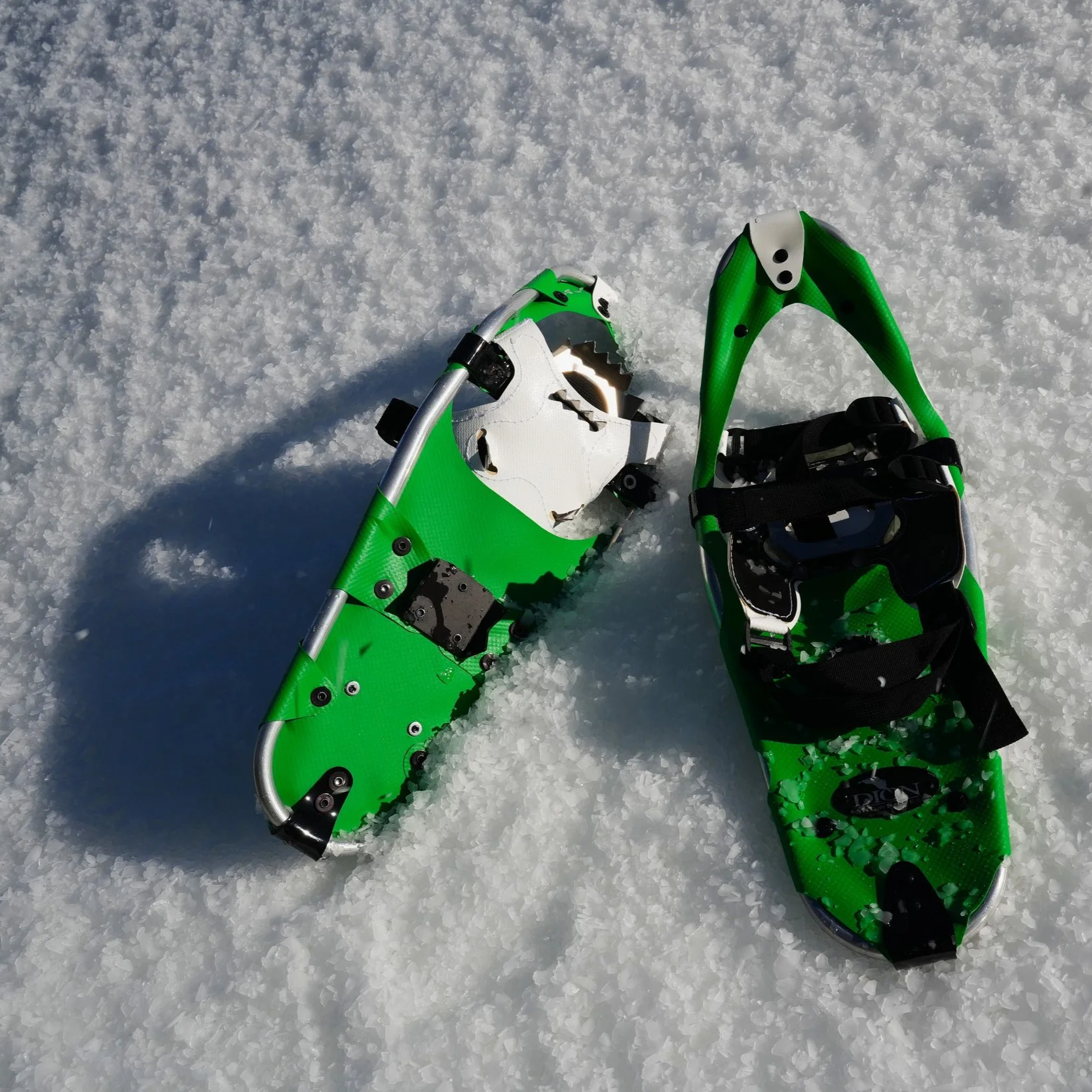 Snowshoe+2.png