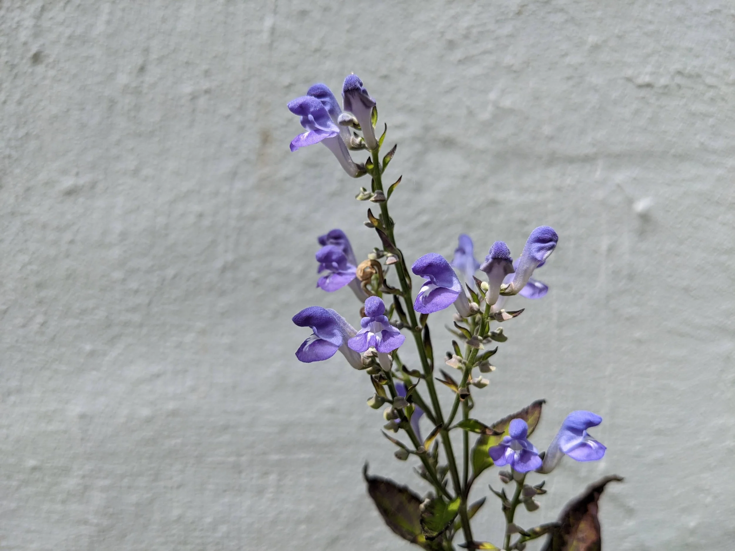 PXL_20230703_163304691 (1).jpg