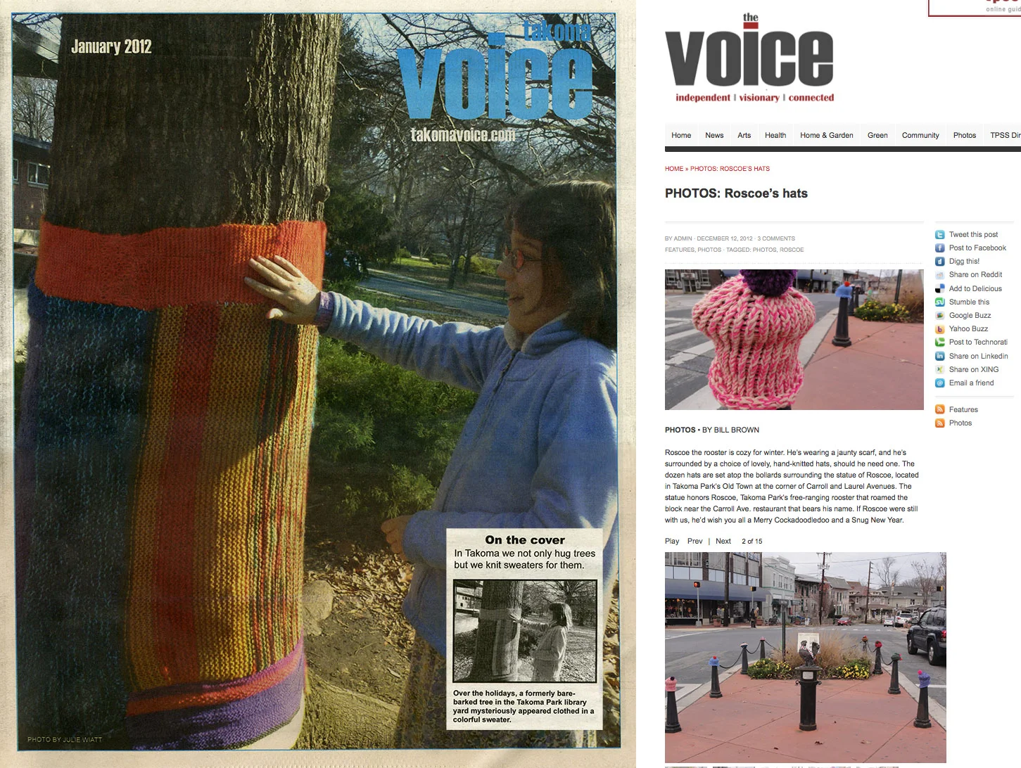 The Takoma Voice Cover for the library yarn bombing