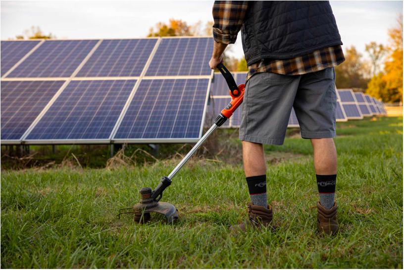 Screen Shot 2020-07-24 at 1.47.09 PM.png