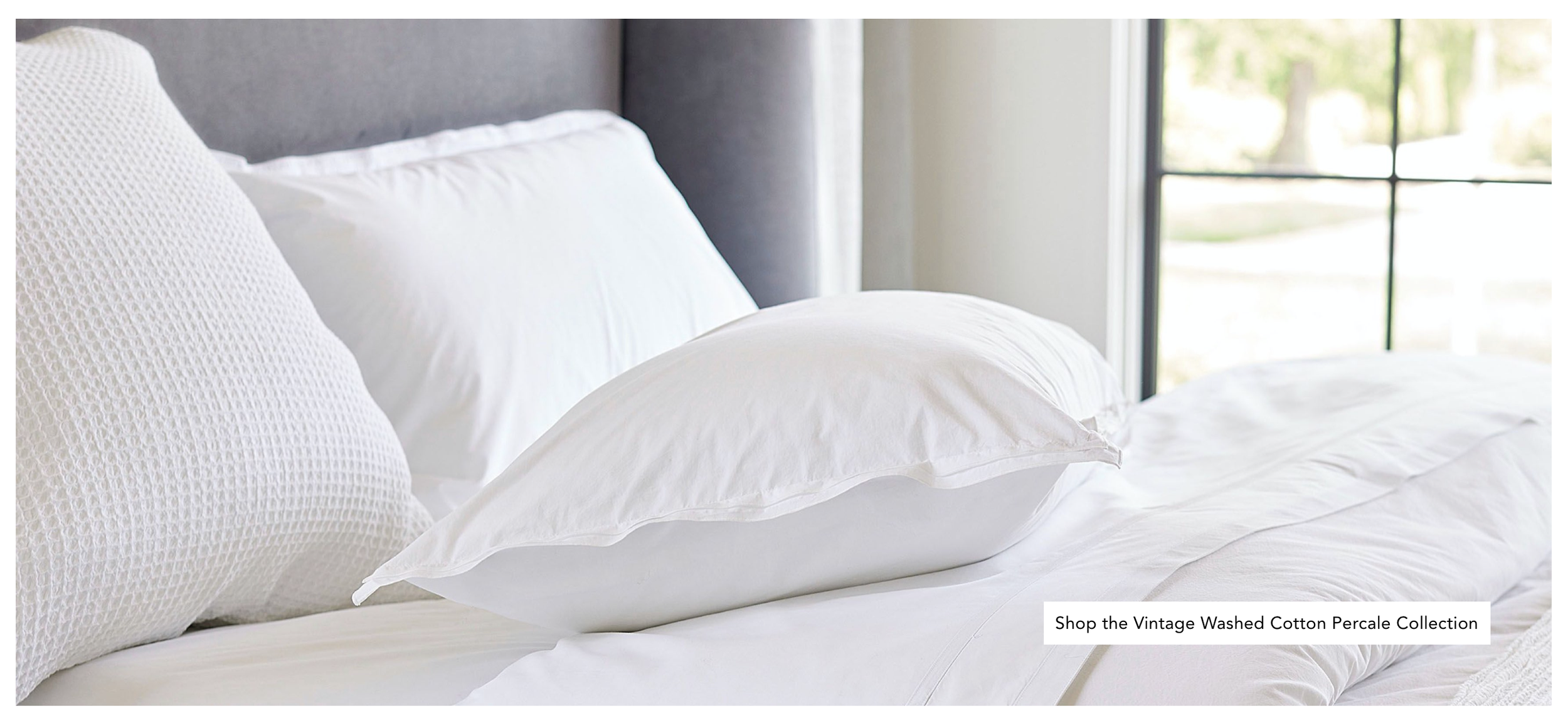 Screen Shot 2022-08-13 at 9.06.20 AM.png