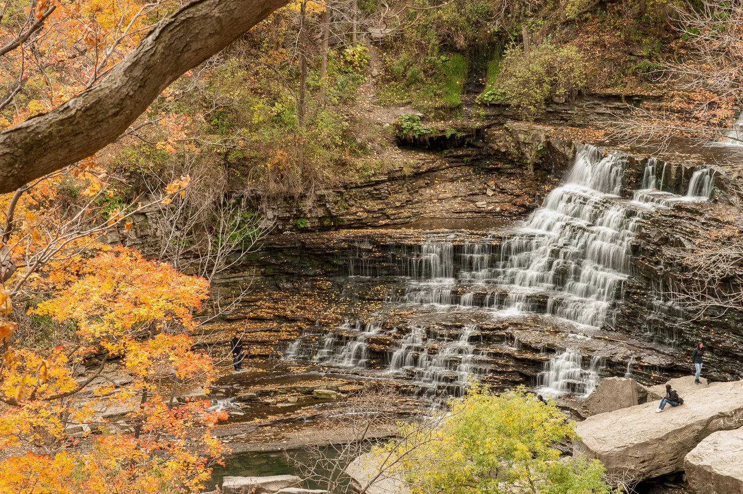 Albion Falls by Marek Michalek 02.jpg