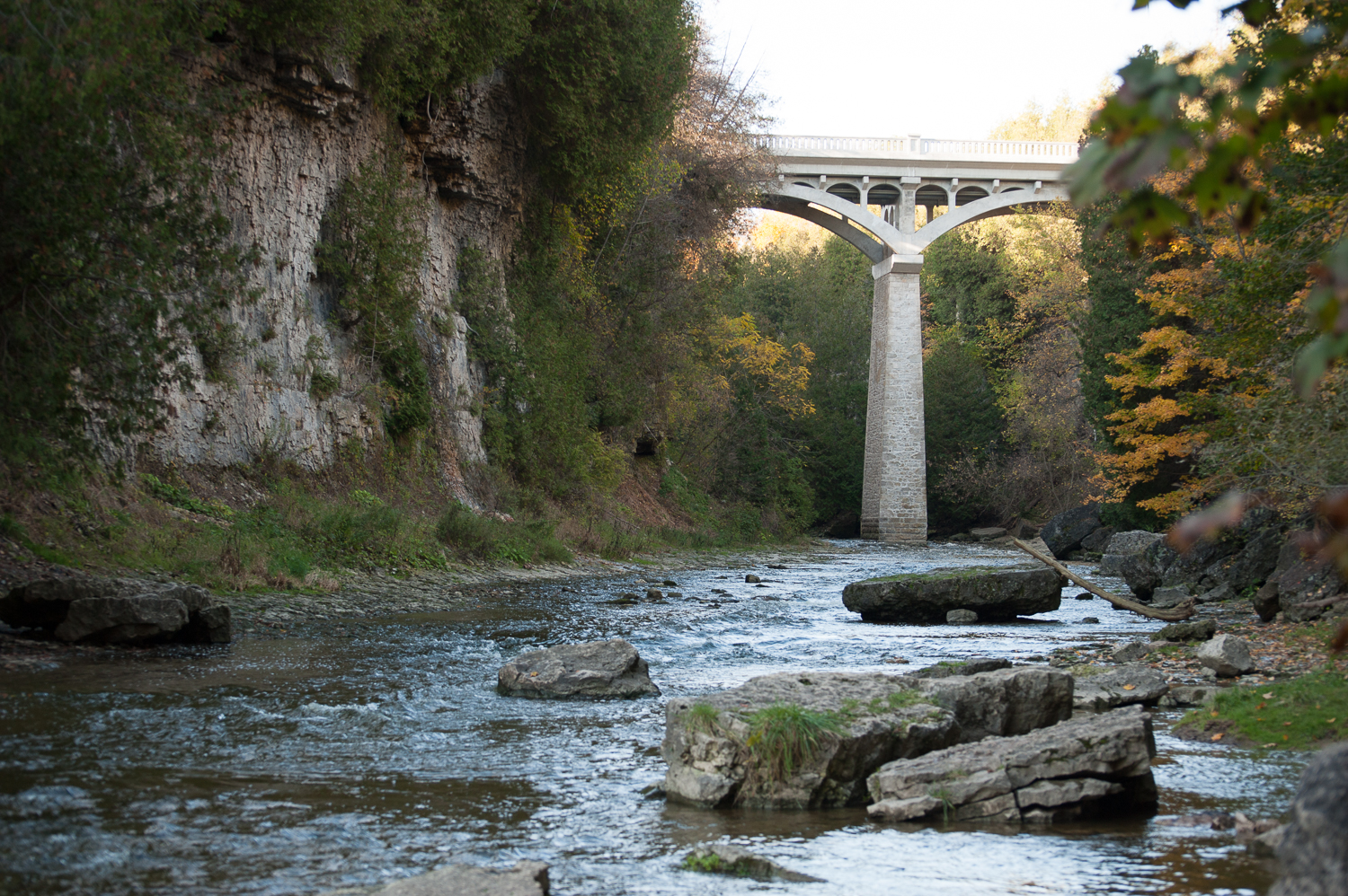 Elora Gorge Photo by Marek Michalek 10.jpg